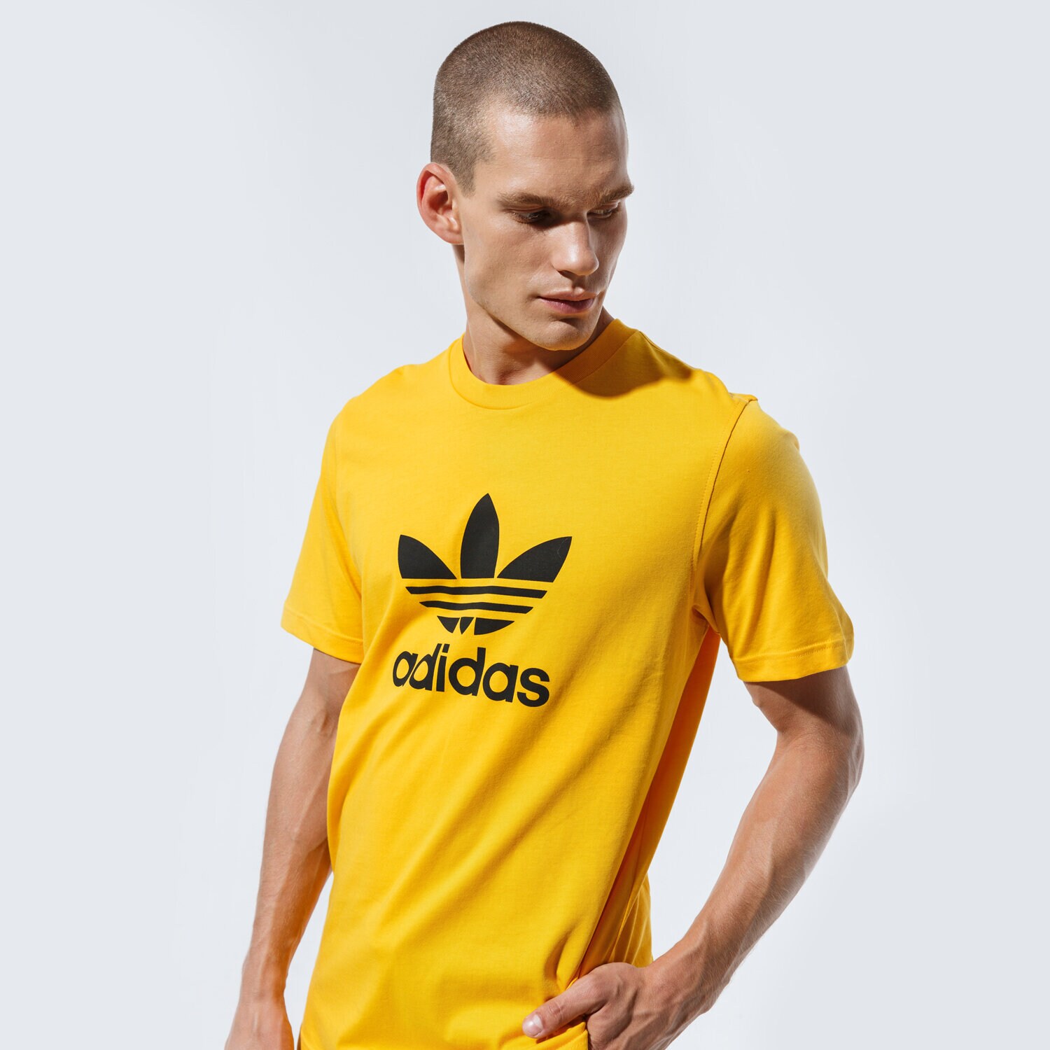 pánské tričko ADIDAS TRIČKO TREFOIL TRIČKO GD9913 ŽLUTÁ