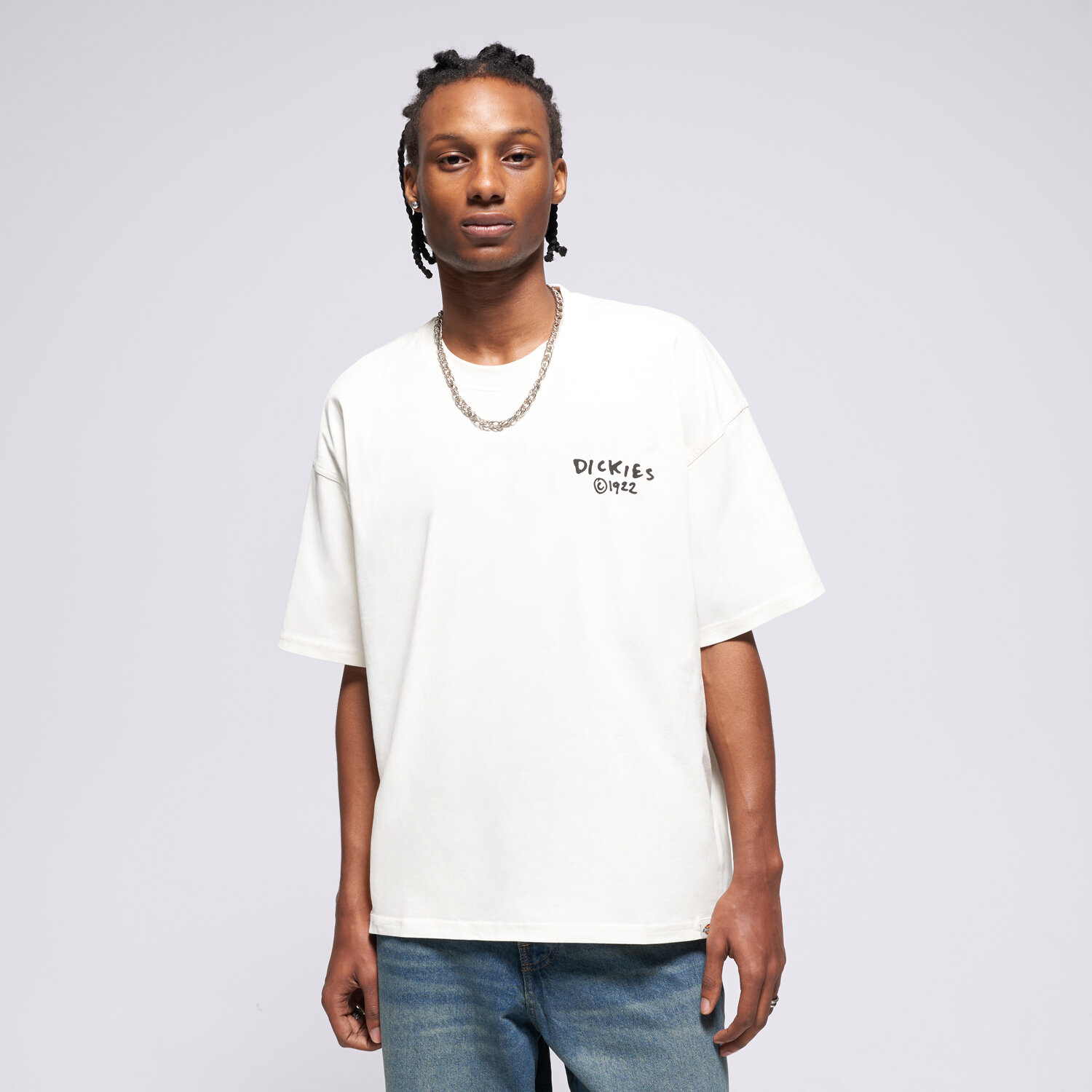 pánské tričko DICKIES TRIČKO SNEEDVILLE TEE SS DK0A87QOC481 BÉŽOVÁ