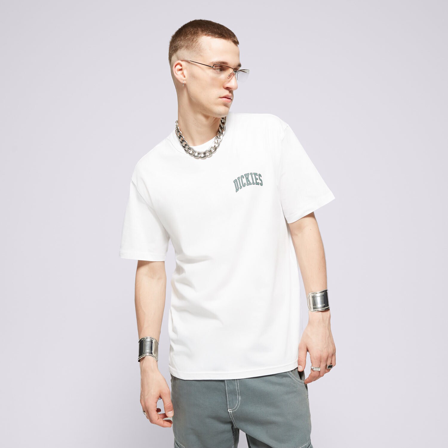 pánské tričko DICKIES TRIČKO AITKIN CHEST TEE SS DK0A4Y8OJ401 BÍLÁ