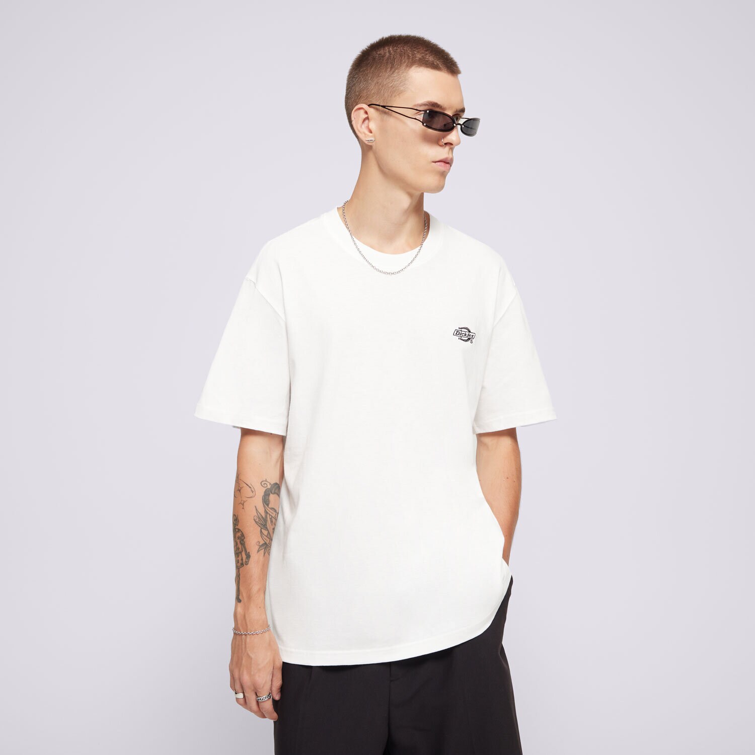 pánské tričko DICKIES TRIČKO SUMMERDALE SS TEE DK0A4YAIWHX1 BÍLÁ