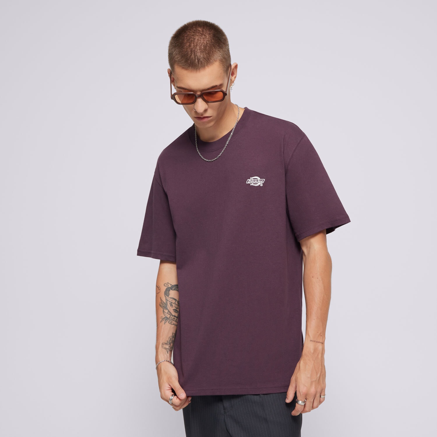 pánské tričko DICKIES TRIČKO SUMMERDALE SS TEE DK0A4YAIJ561 FIALOVÁ