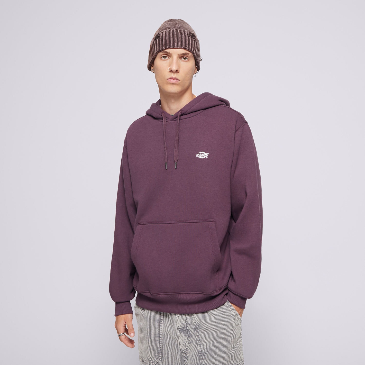 pánská mikina DICKIES MIKINA S KAPUCÍ SUMMERDALE HOODIE DK0A4Y6PJ561 FIALOVÁ