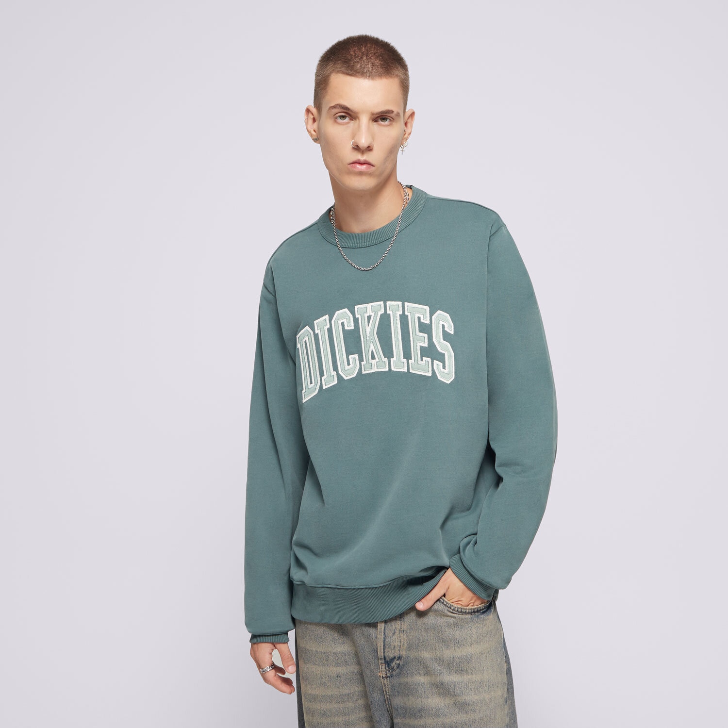 pánská mikina DICKIES MIKINA AITKIN SWEATSHIRT DK0A4XABJ951 ZELENÁ