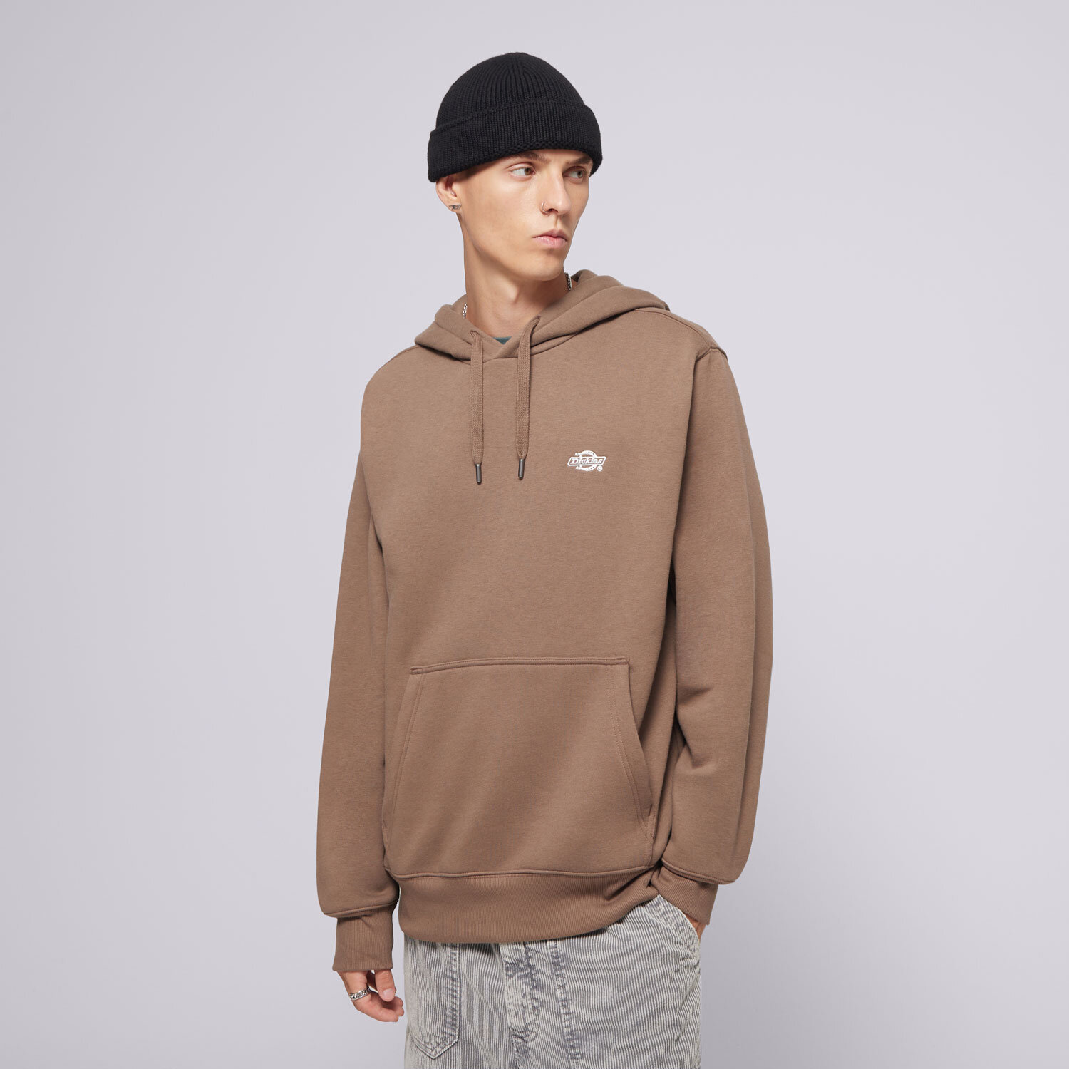 pánská mikina DICKIES MIKINA S KAPUCÍ SUMMERDALE HOODIE DK0A4Y6PMR11 ČERNÁ