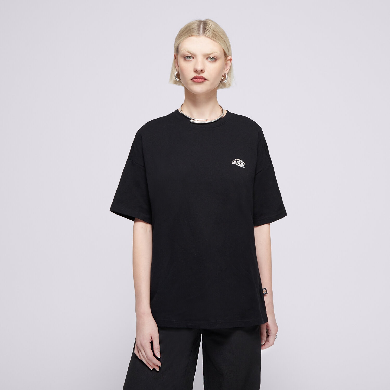 dámské tričko DICKIES TRIČKO SUMMERDALE SS TEE DK0A4Y1BBLK1 ČERNÁ