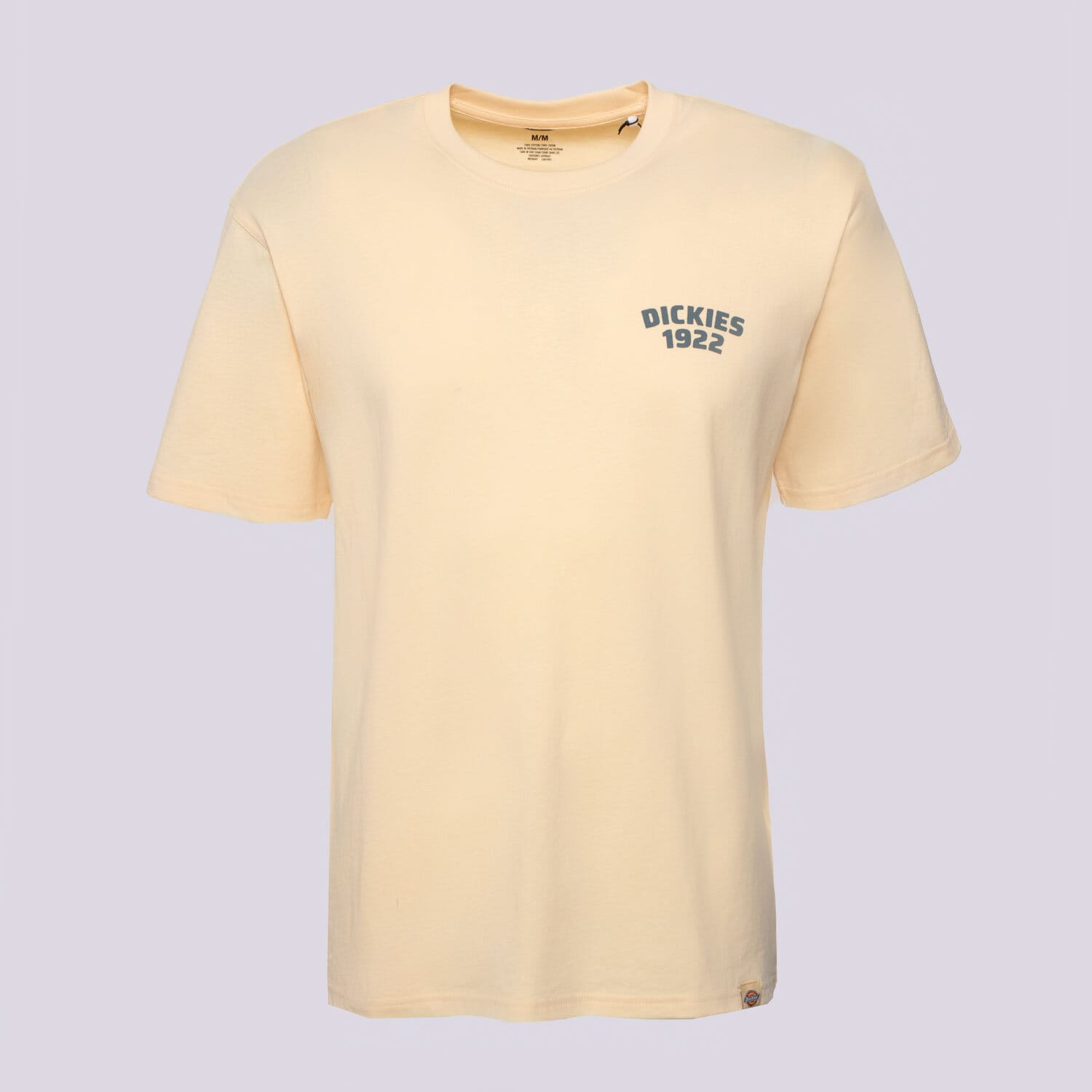 pánské tričko DICKIES TRIČKO MECHANIC SS TEE DK0A4Z96K531 BÉŽOVÁ