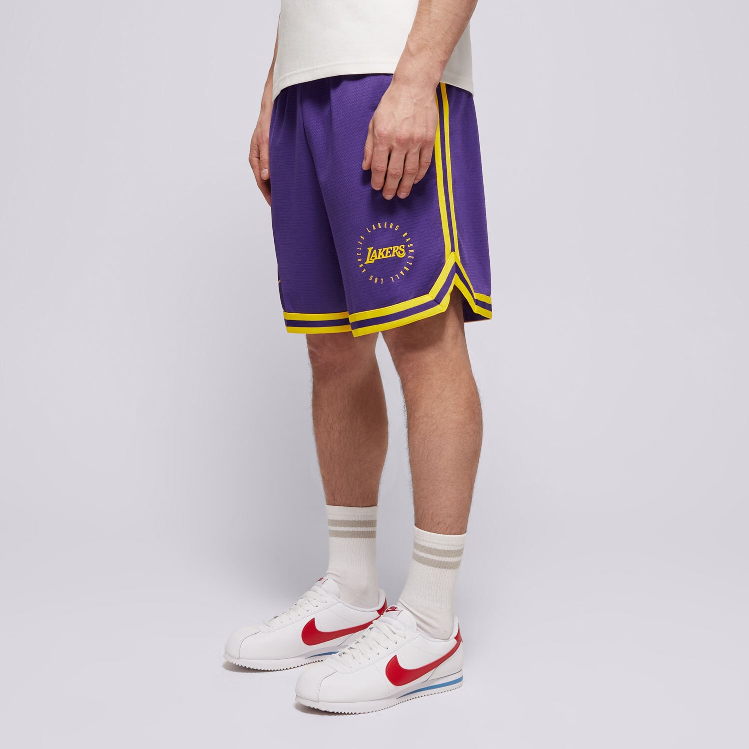 pánské kraťasy NIKE ŠORTKY  LAL MNK DF PRGM DNA 8IN SHORT FQ3211-504 FIALOVÁ
