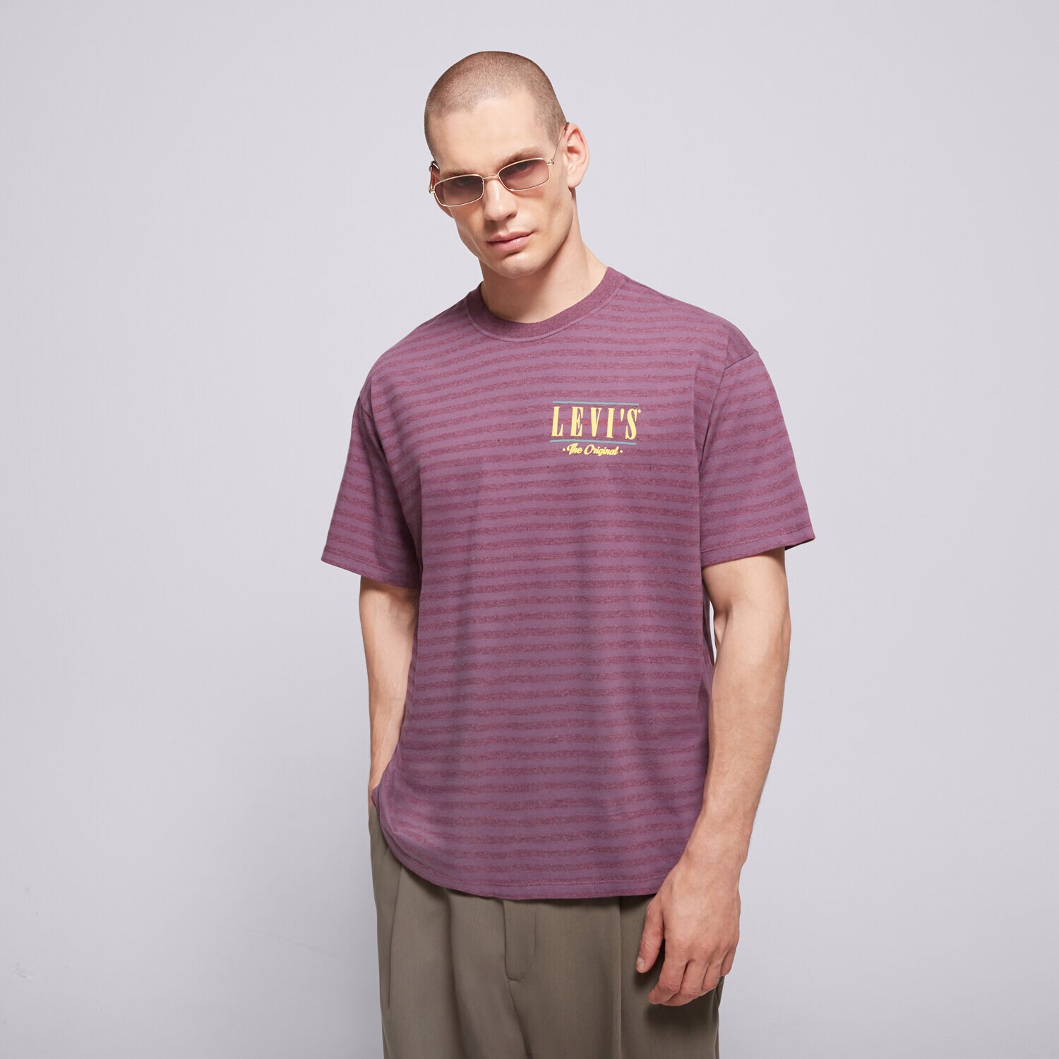 pánské tričko LEVI'S TRIČKO VINTAGE FIT GRAPHIC TEE GREYS 87373-0345 FIALOVÁ