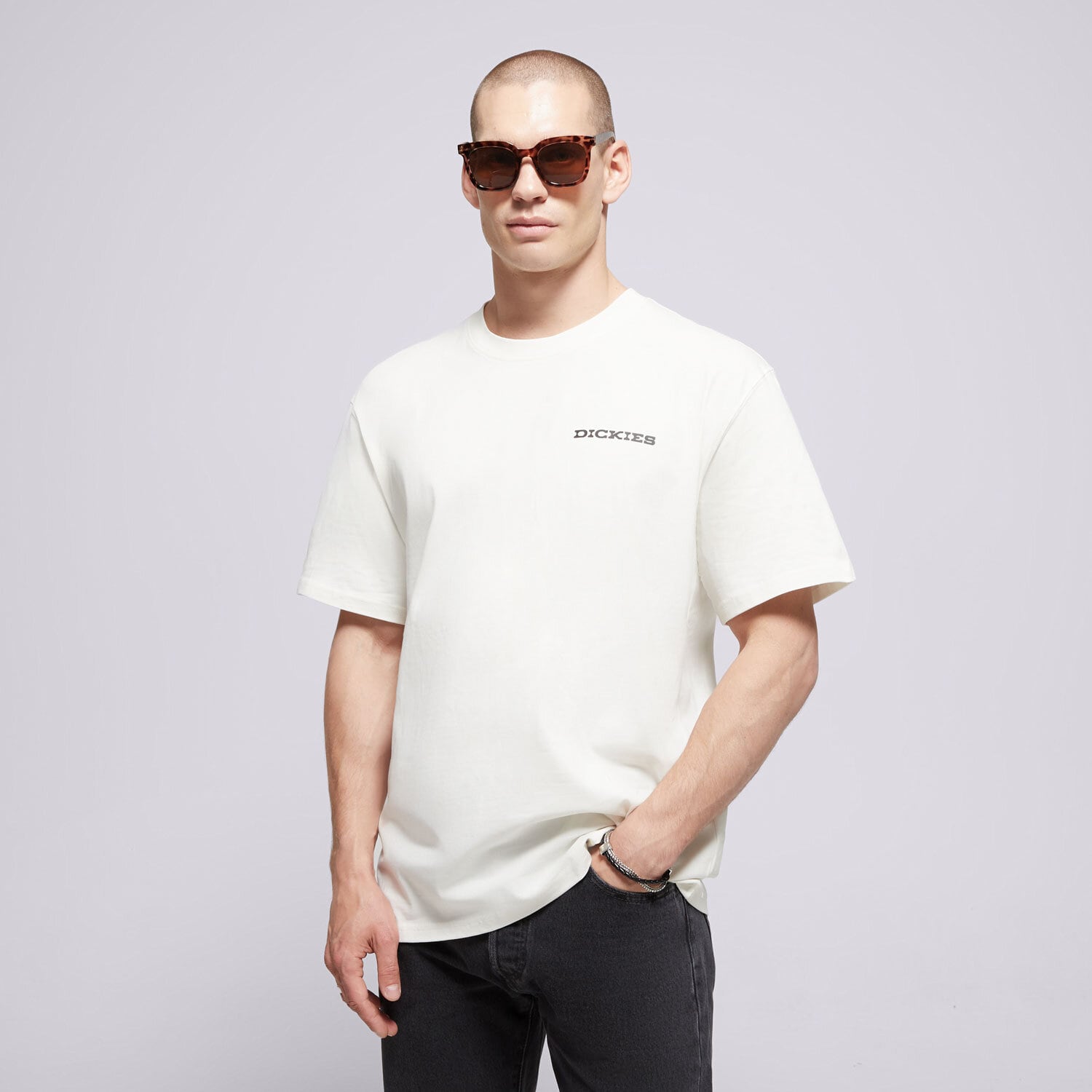 pánské tričko DICKIES TRIČKO LANDASCAPE SS TEE DK0A4Z8VC481 BÍLÁ