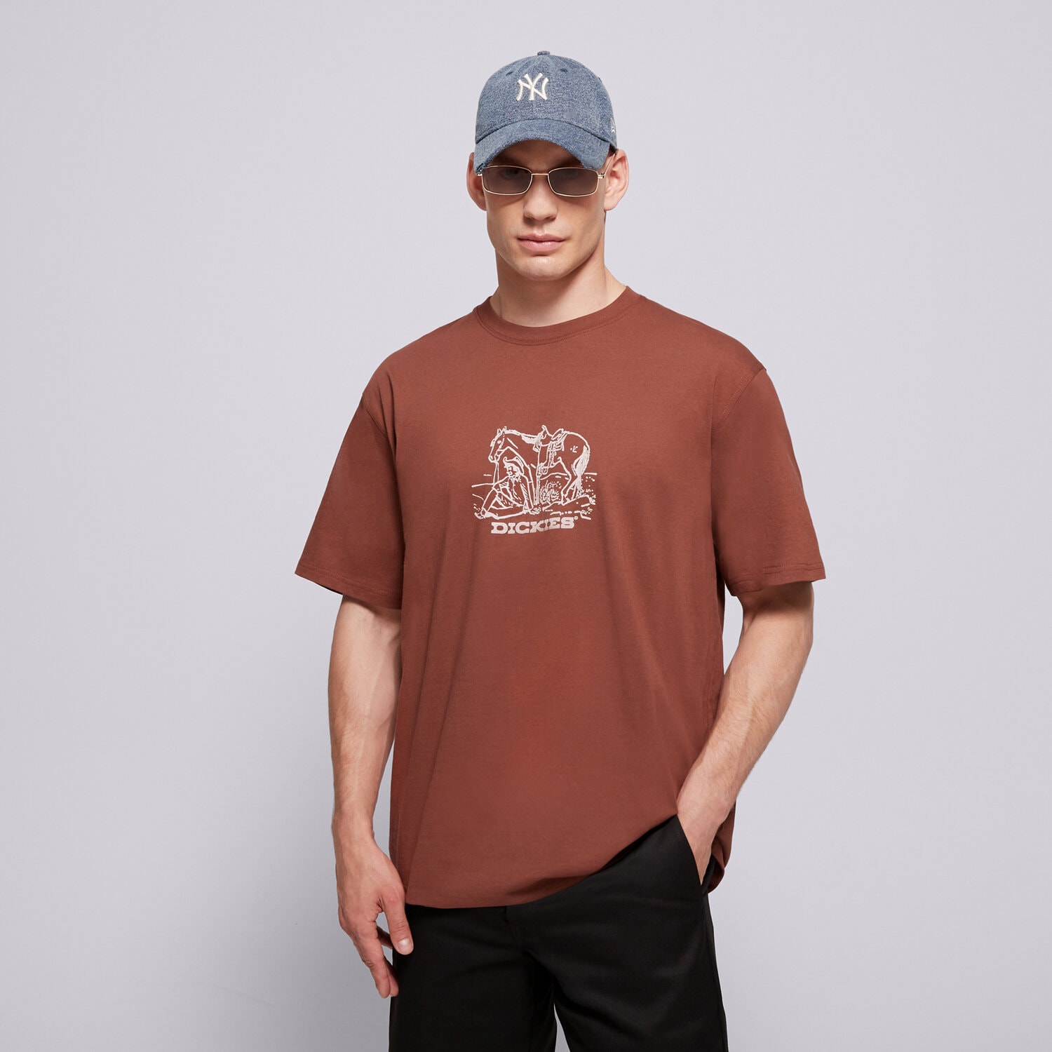 pánské tričko DICKIES TRIČKO COMPANION CENTER LOGO SS TEE DK0A4Z91K471 HNĚDÁ
