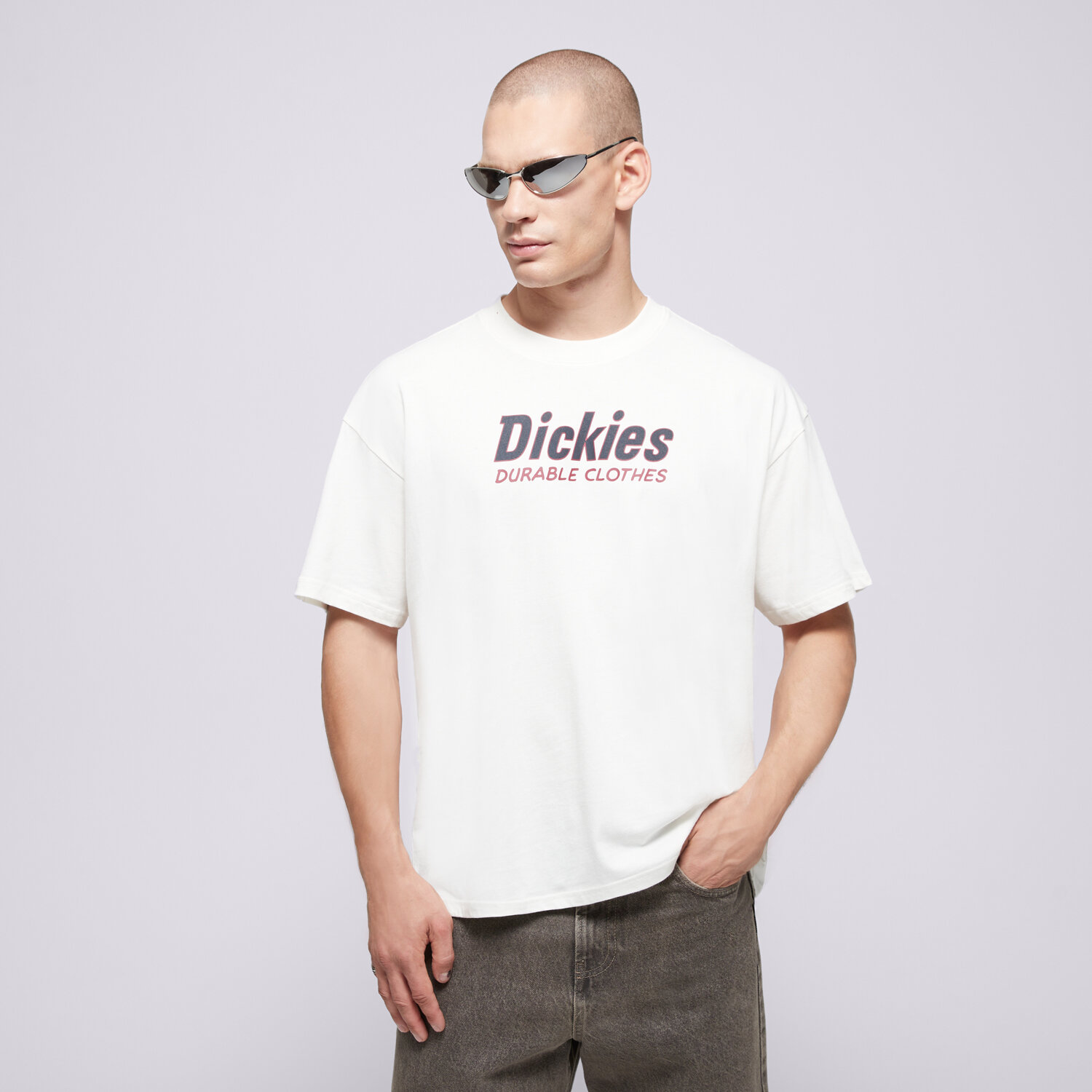 pánské tričko DICKIES TRIČKO WILLISTON TEE SS DK0A87YLC481 BÉŽOVÁ