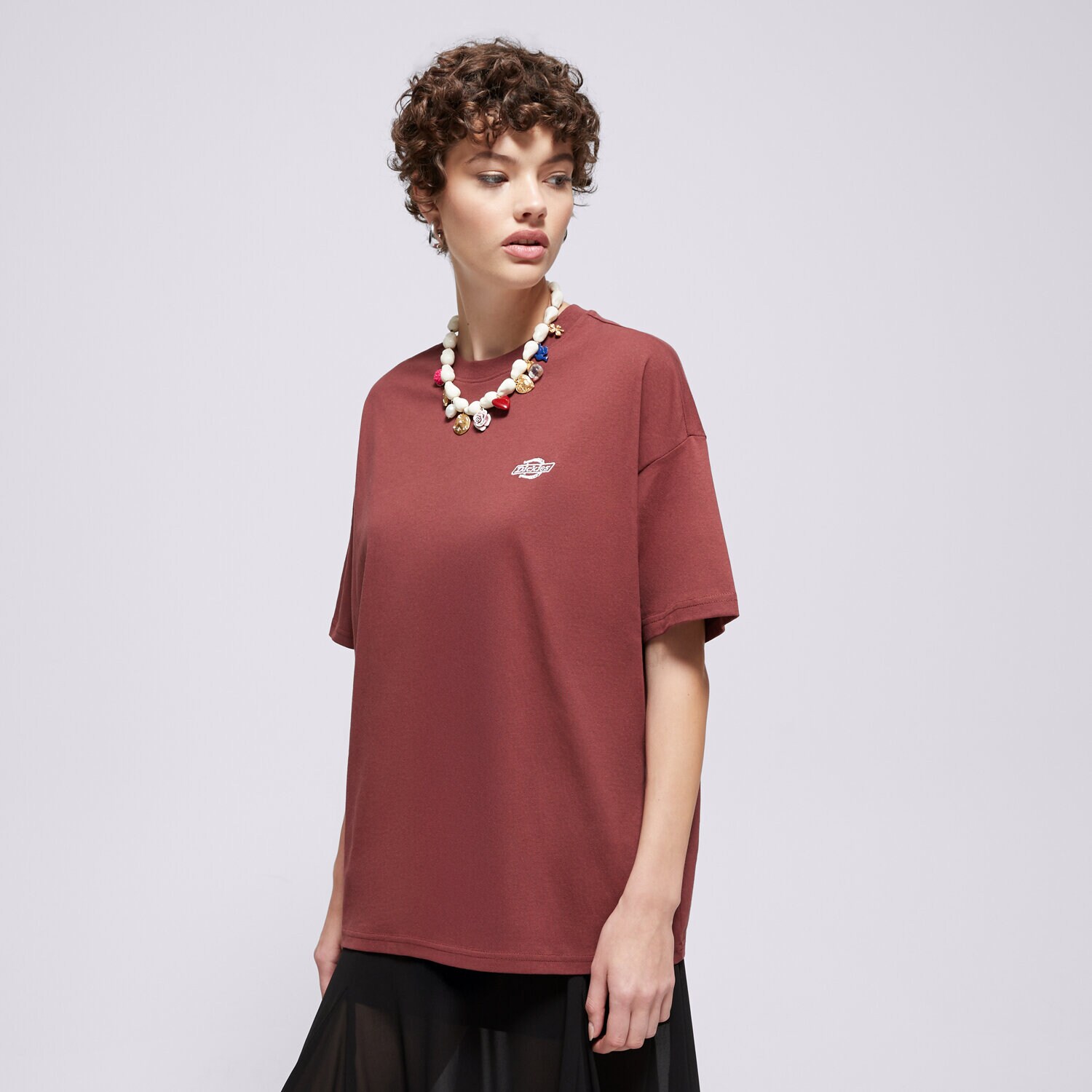 dámské tričko DICKIES TRIČKO SUMMERDALE SS TEE DK0A4Y1BL161 HNĚDÁ