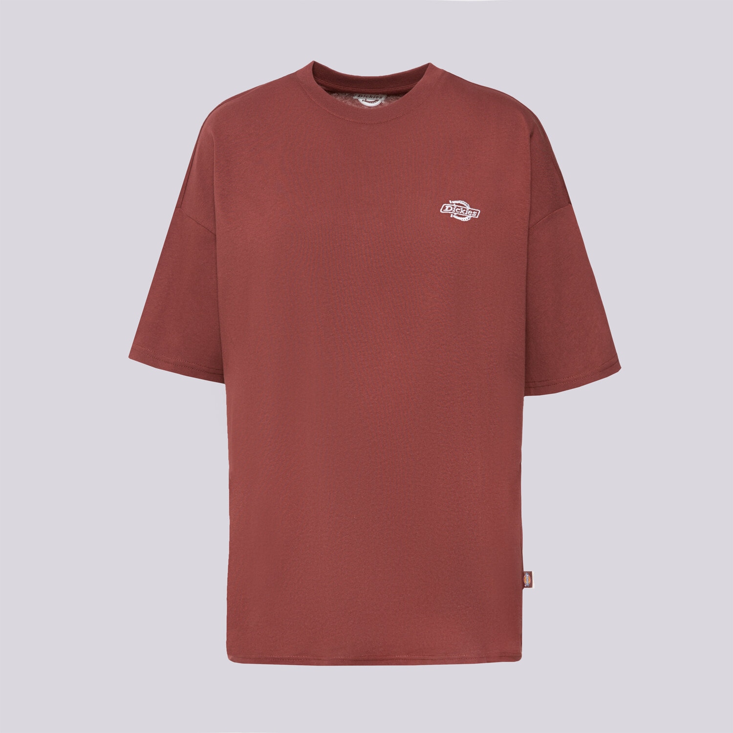 dámské tričko DICKIES TRIČKO SUMMERDALE SS TEE DK0A4Y1BL161 HNĚDÁ