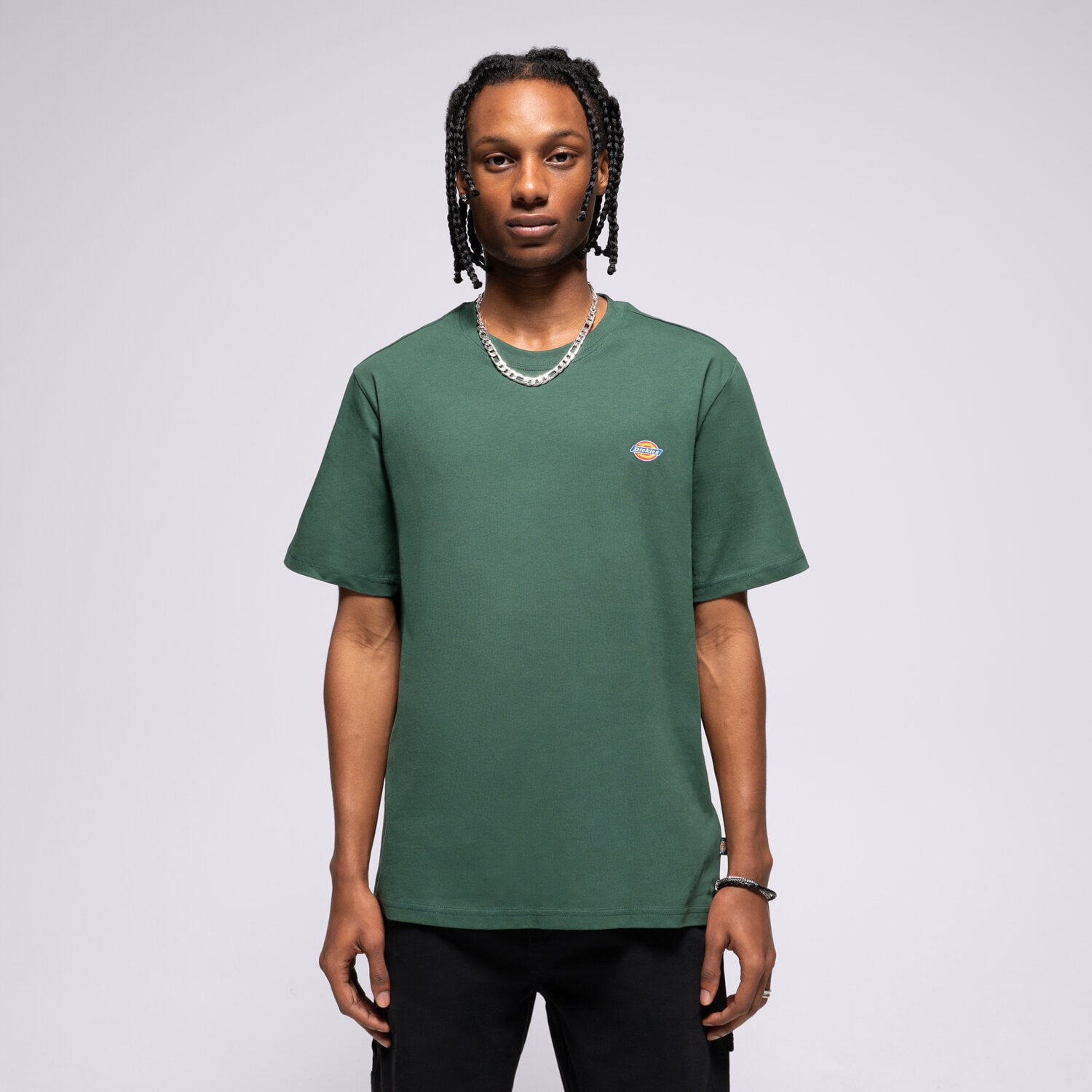 pánské tričko DICKIES TRIČKO SS MAPLETON TEE DK0A4XDBPIN1 ZELENÁ