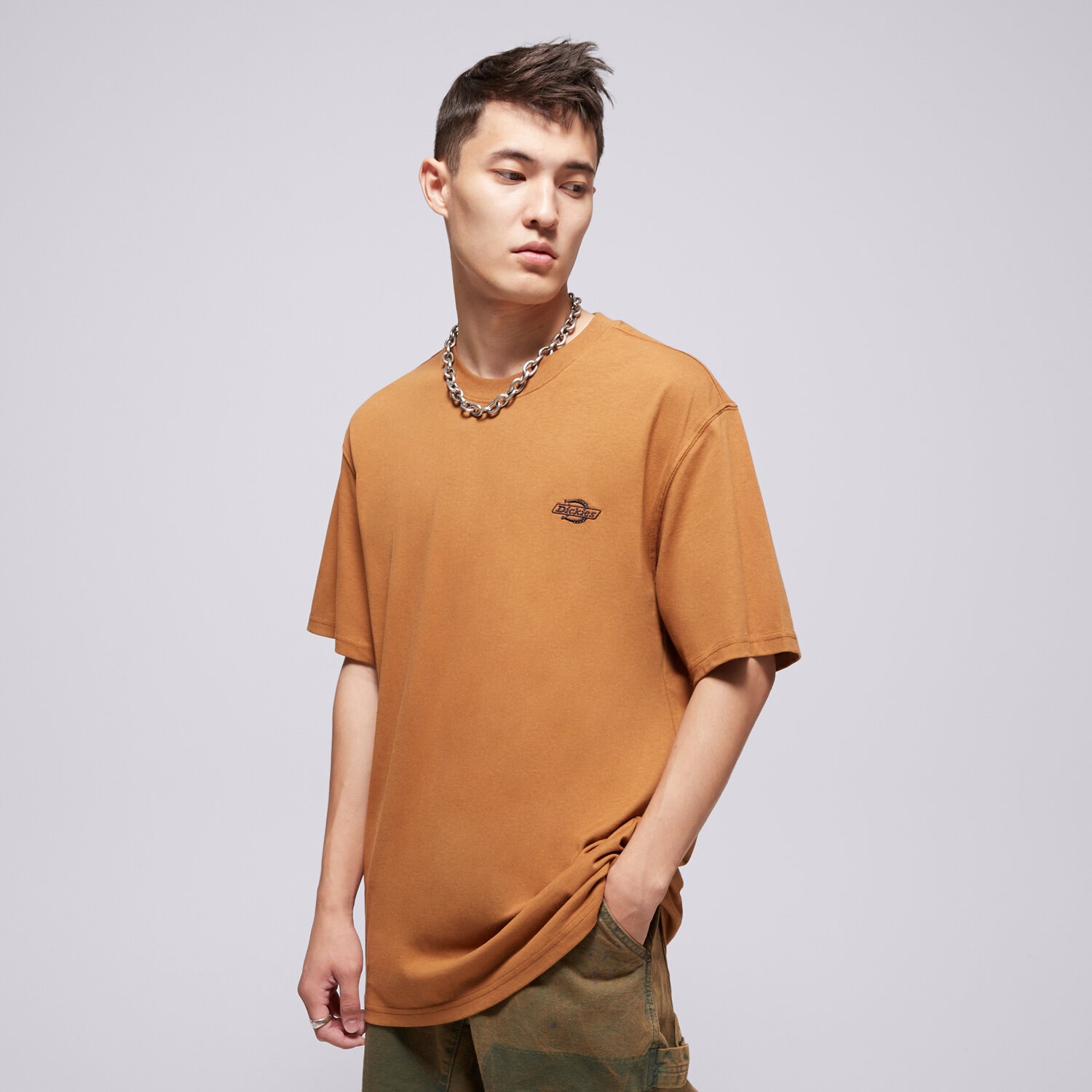 pánské tričko DICKIES TRIČKO SUMMERDALE SS TEE DK0A4YAI0BD1 HNĚDÁ