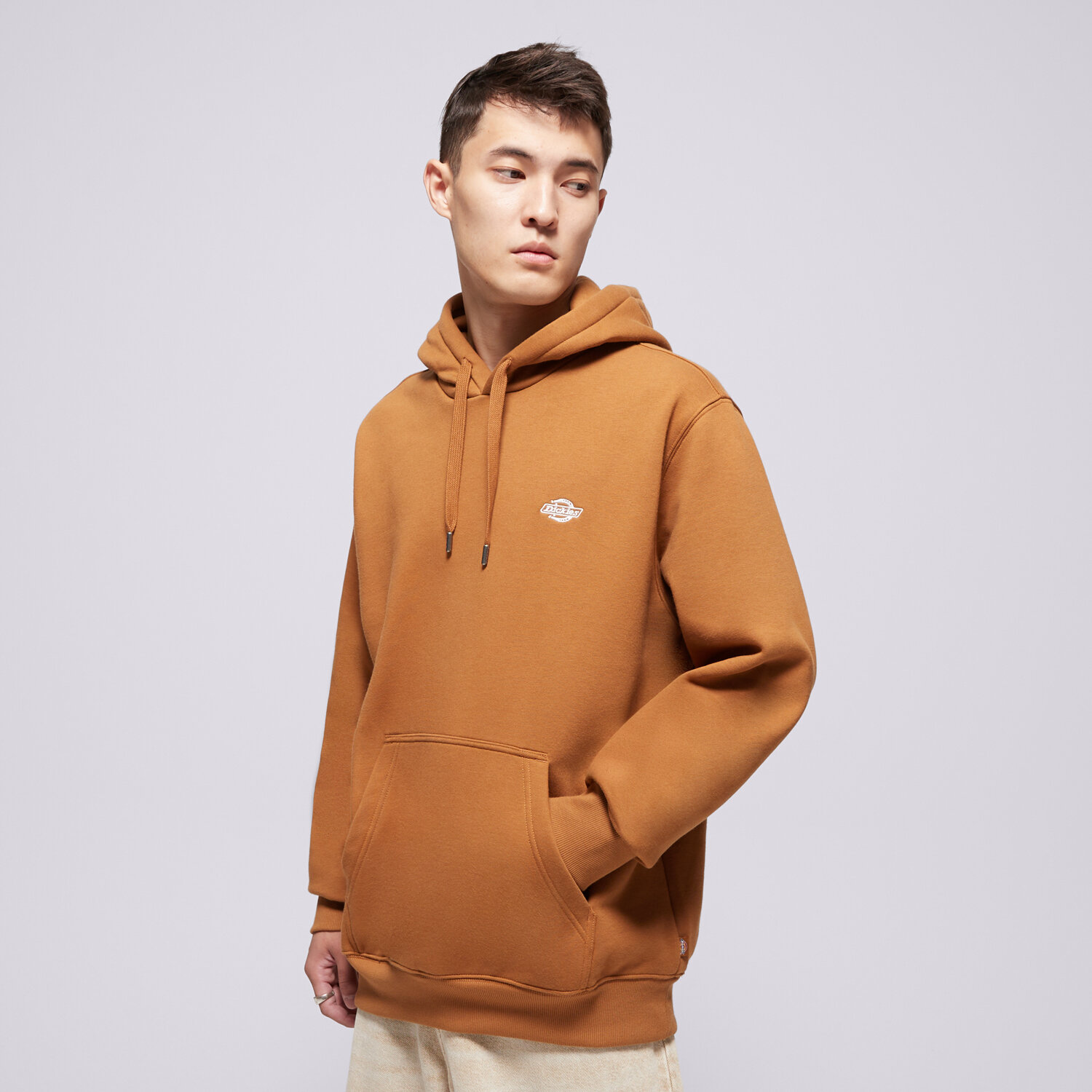 pánská mikina DICKIES MIKINA S KAPUCÍ SUMMERDALE HOODIE DK0A4Y6P0BD1 HNĚDÁ