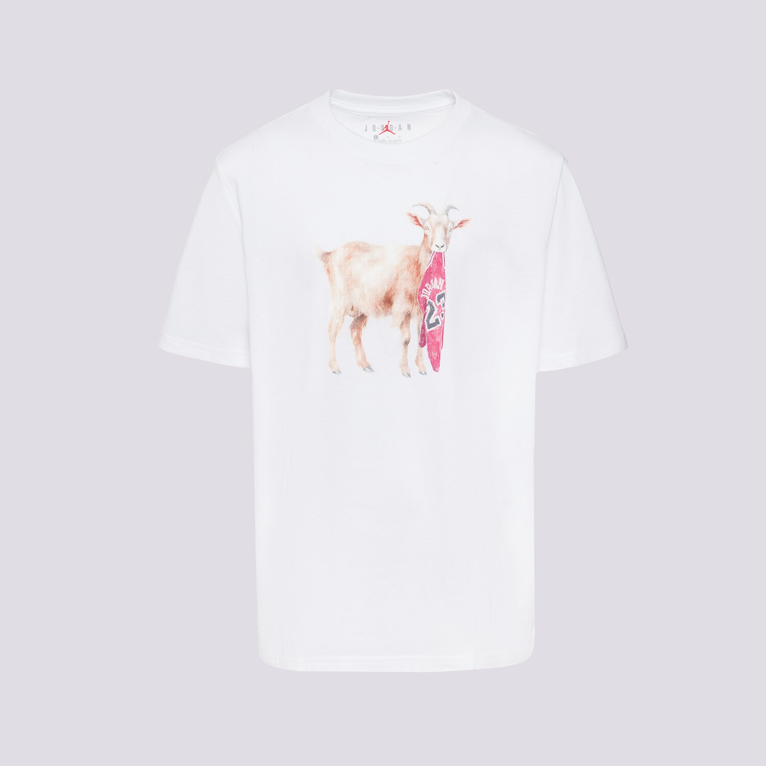 dětské tričko JORDAN TRIČKO JDB MJ FLT GOAT SS CREW BOY 95F314-001 BÍLÁ
