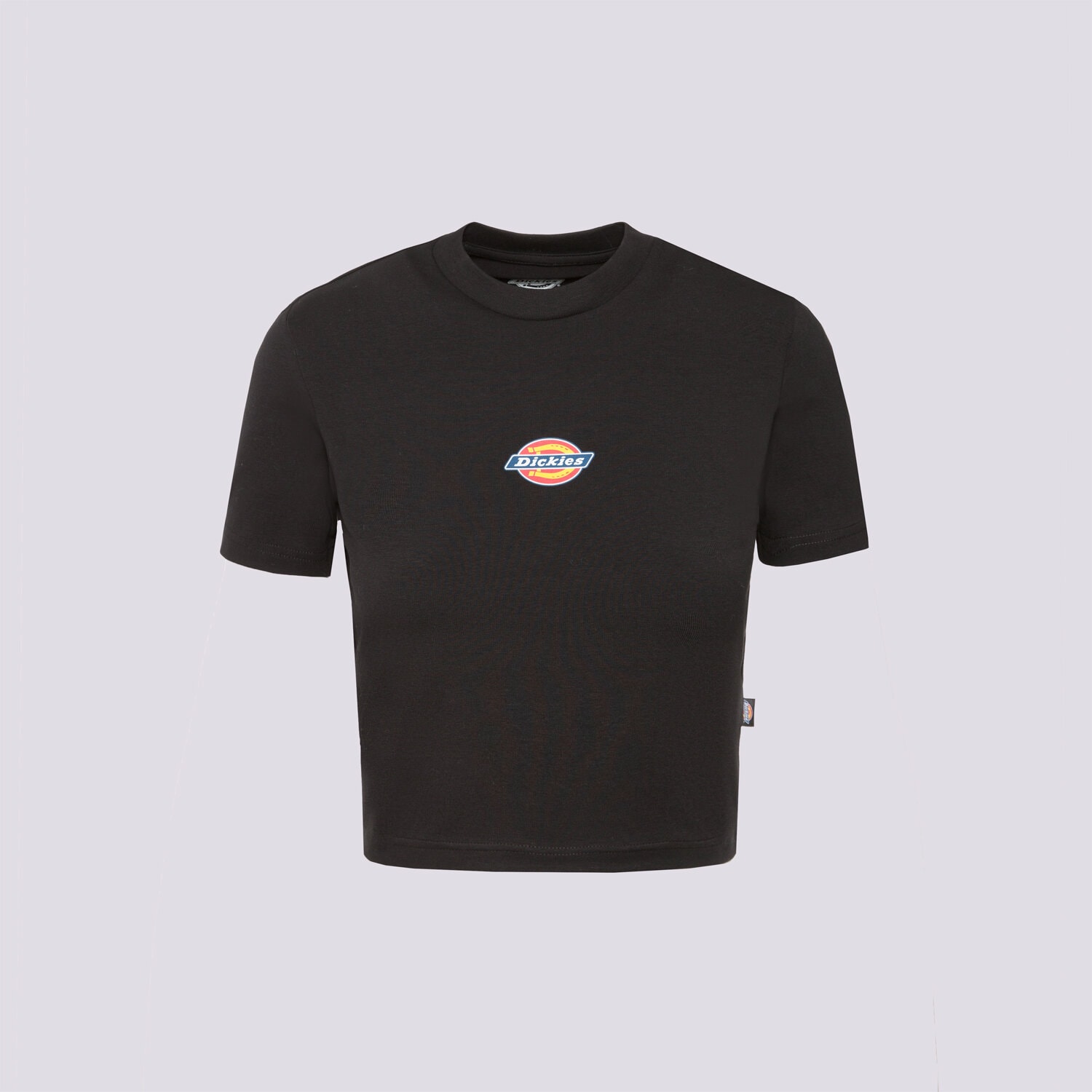 dámské tričko DICKIES TRIČKO MAPLE VALLEY TEE DK0A4XPOBLK1 ČERNÁ
