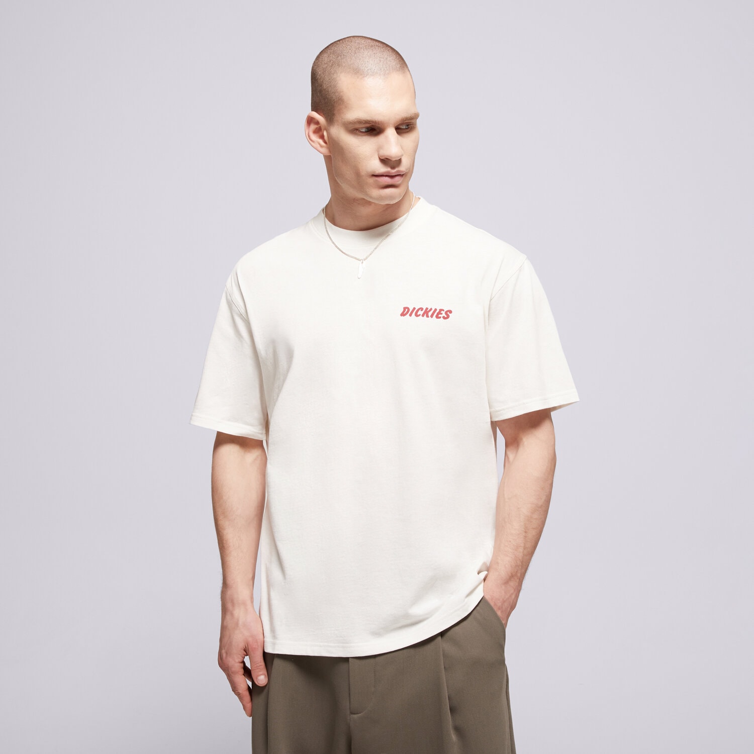 pánské tričko DICKIES TRIČKO DRY RIDGE SS TEE DK0A8853C481 BÍLÁ