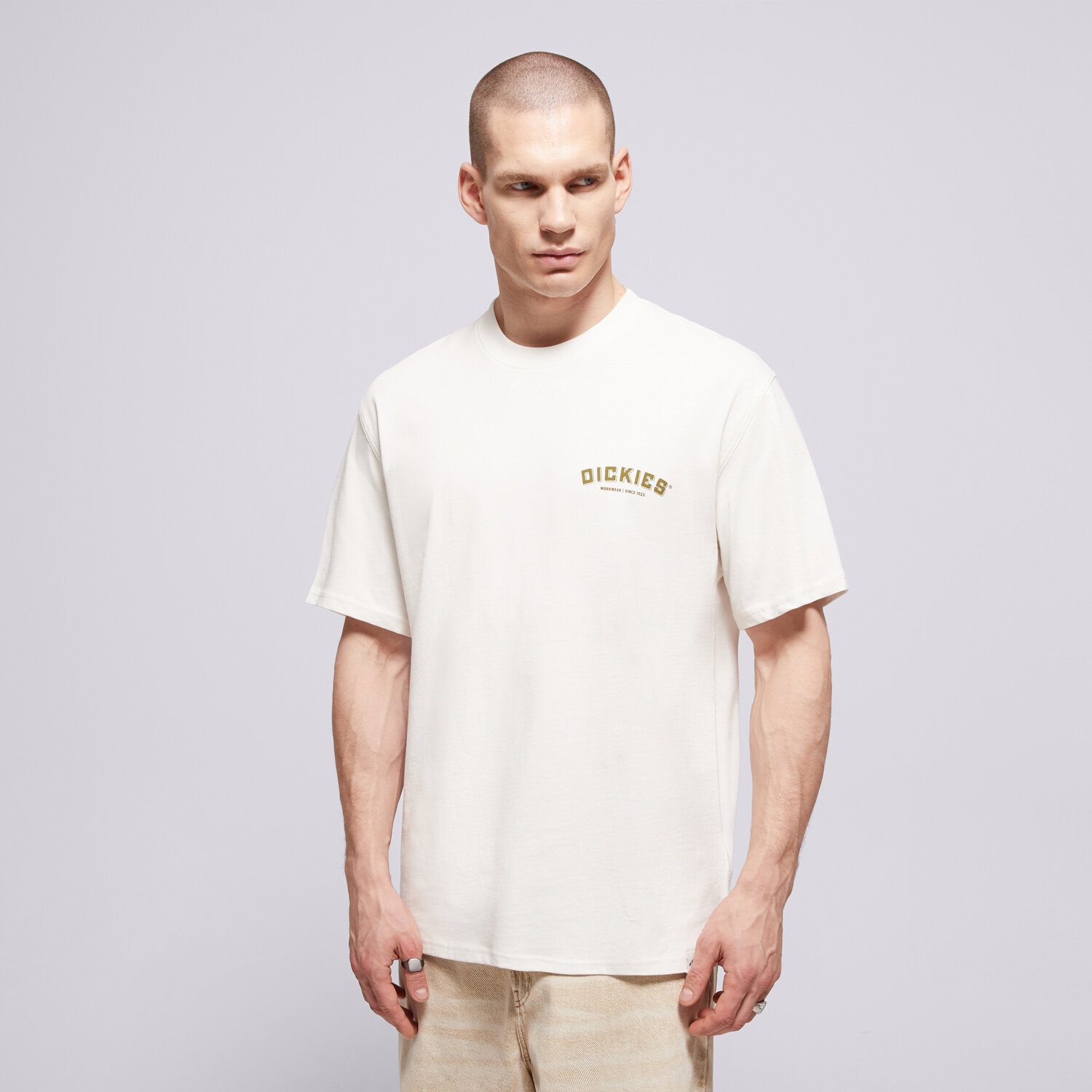 pánské tričko DICKIES TRIČKO BUILDER TEE DK0A85SYC481 BÍLÁ