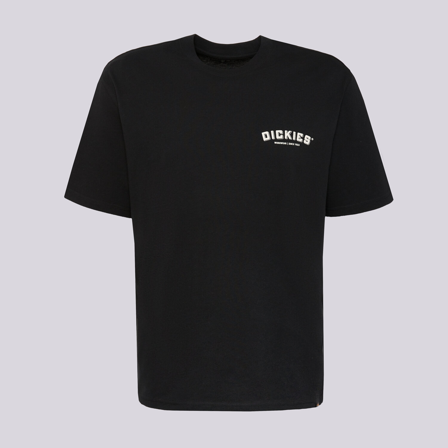 pánské tričko DICKIES TRIČKO BUILDER TEE DK0A85SYBLK1 ČERNÁ