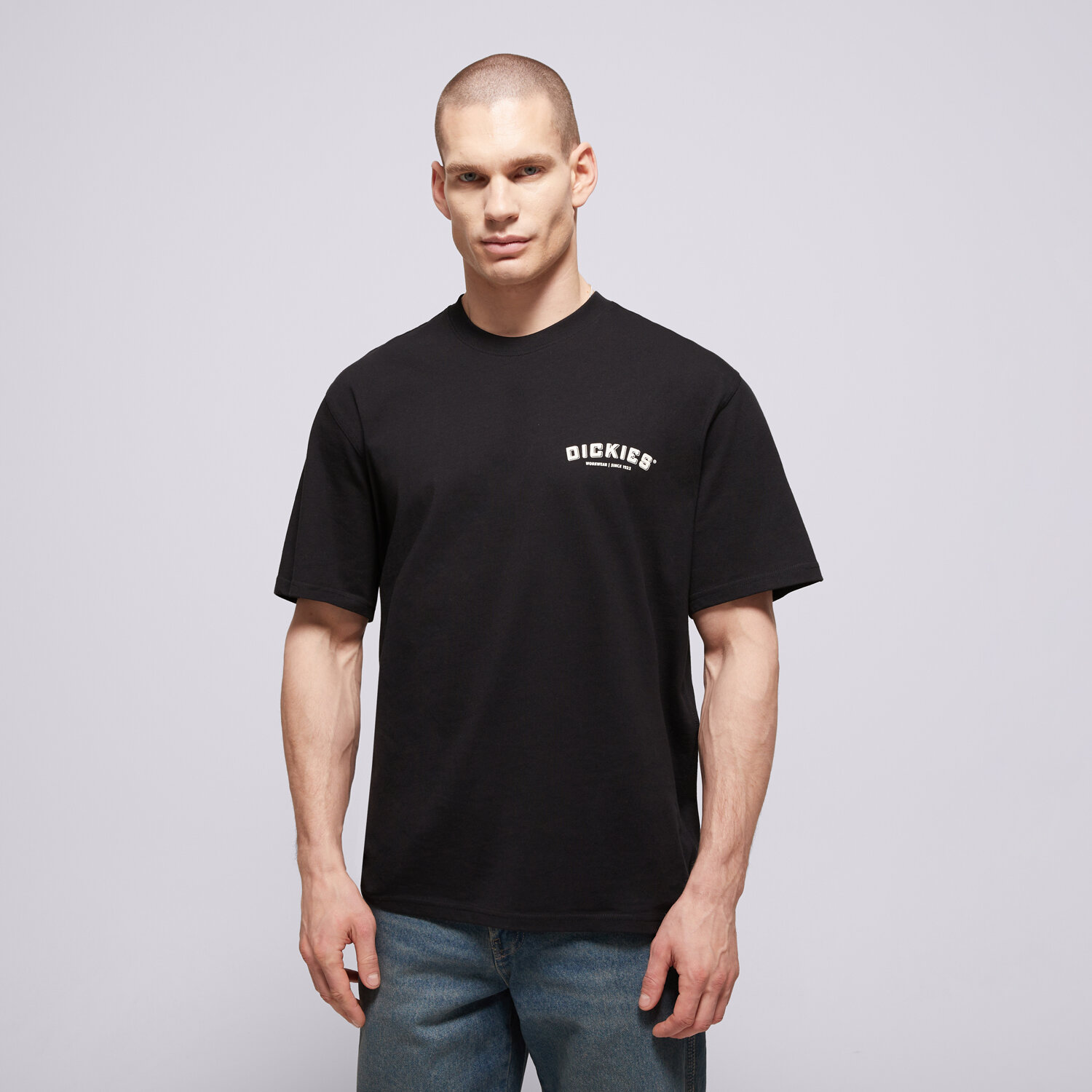 pánské tričko DICKIES TRIČKO BUILDER TEE DK0A85SYBLK1 ČERNÁ