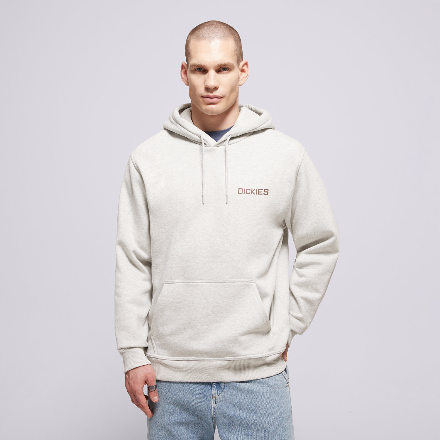 pánská mikina DICKIES MIKINA S KAPUCÍ PAYSON HOODIE DK0A88POA281 ŠEDÁ