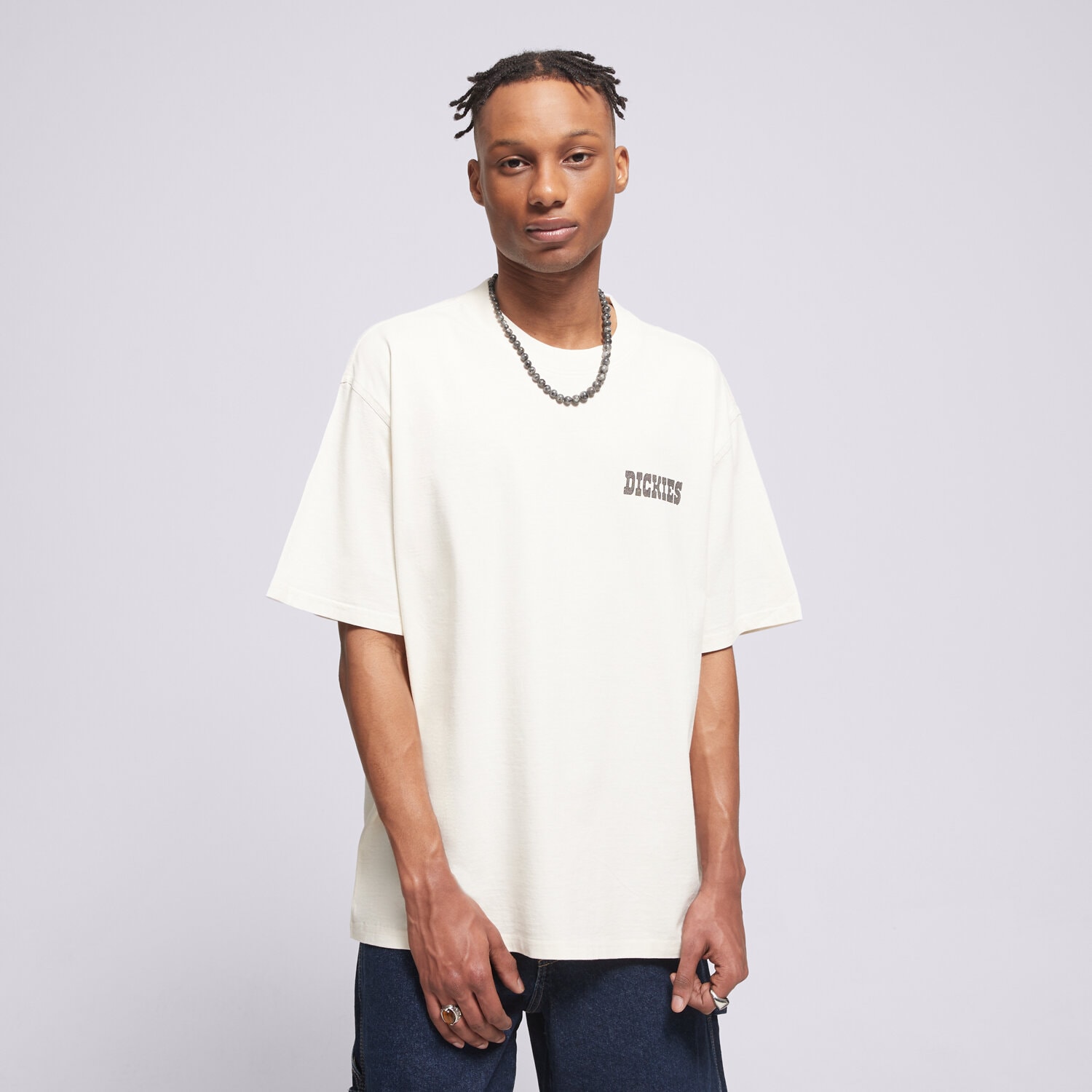 pánské tričko DICKIES TRIČKO BUCHTELL SS TEE DK0A883BC481 BÍLÁ