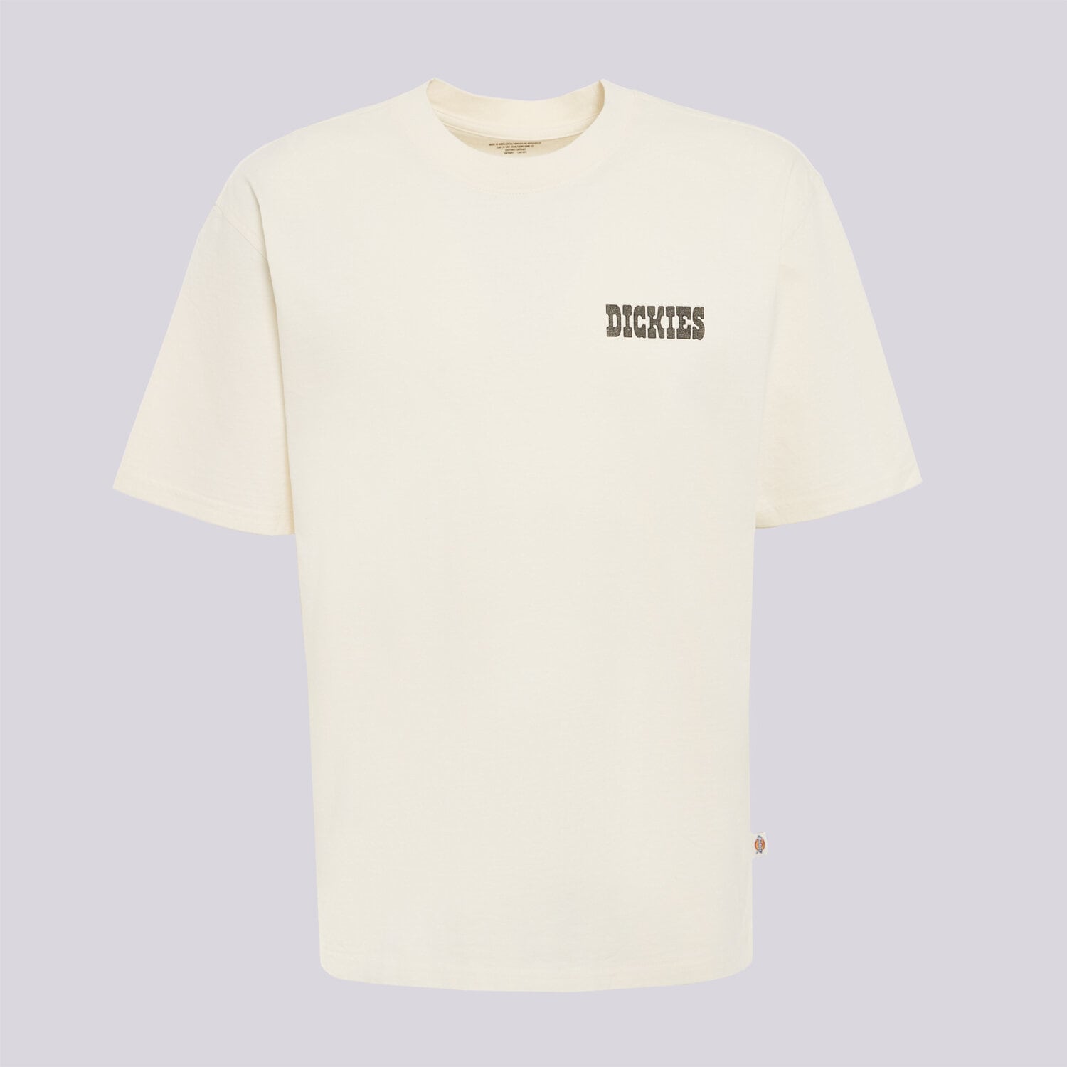 pánské tričko DICKIES TRIČKO BUCHTELL SS TEE DK0A883BC481 BÍLÁ