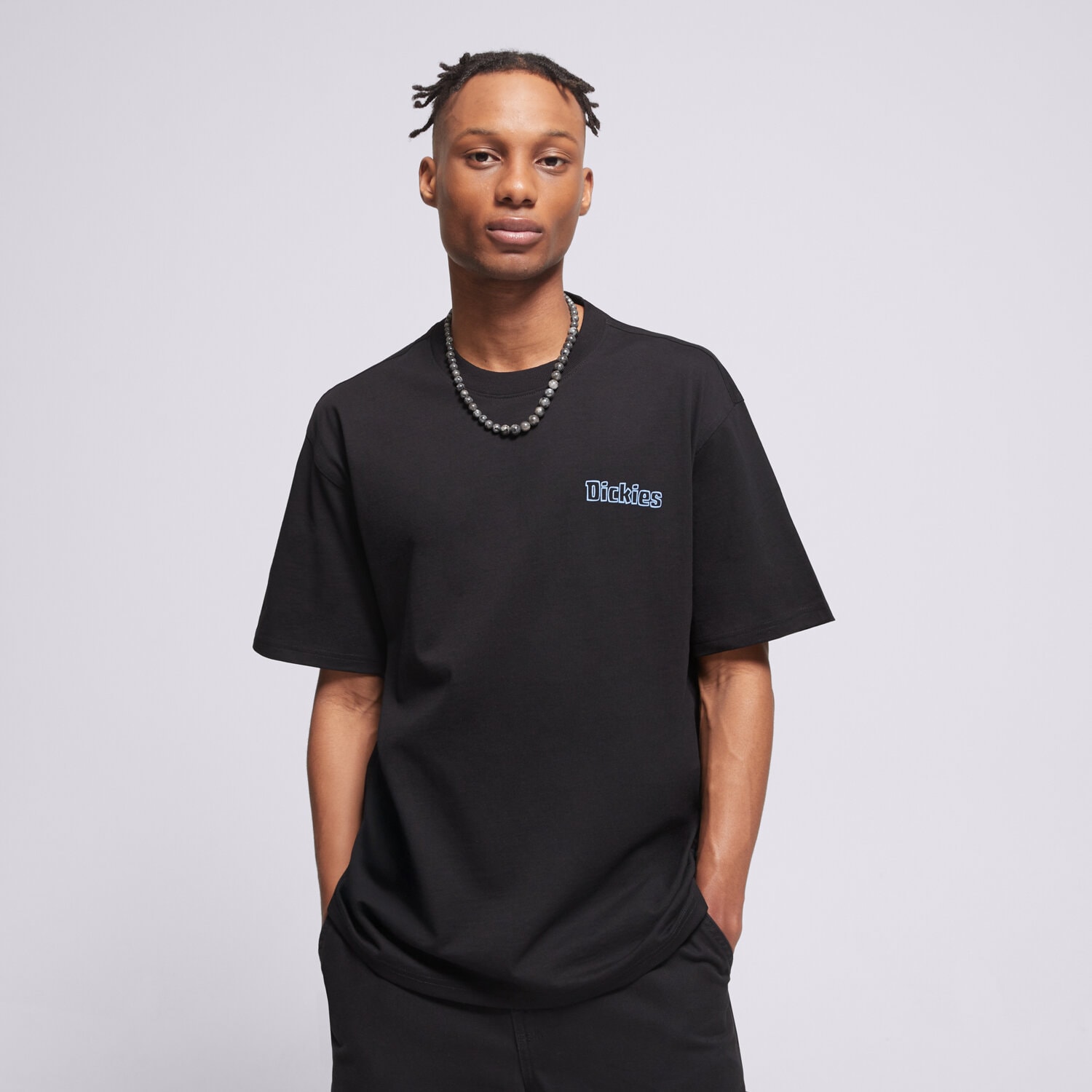 pánské tričko DICKIES TRIČKO FAIRLAWN SS TEE DK0A88GEBLK1 ČERNÁ