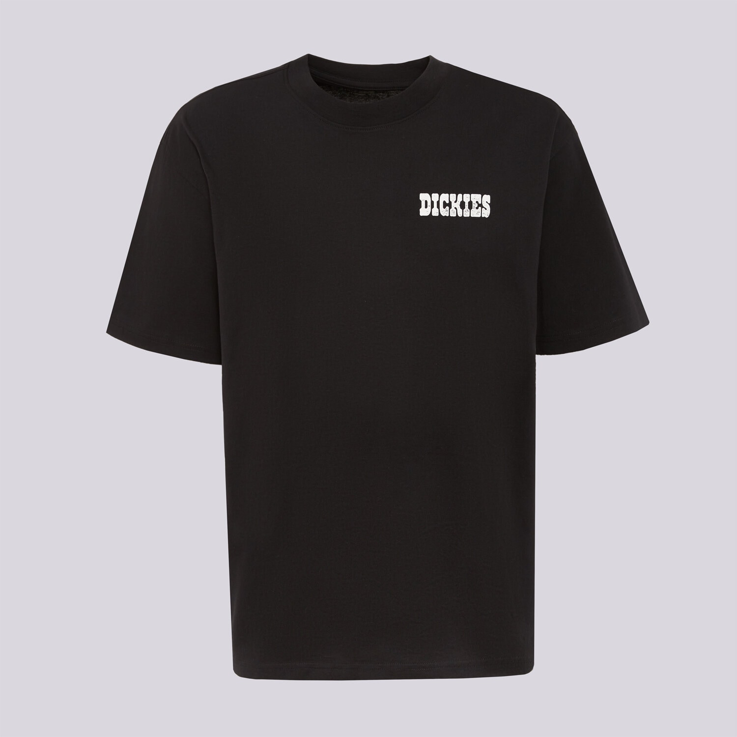 pánské tričko DICKIES TRIČKO PLAIN CITY SS TEE DK0A88JIBLK1 ČERNÁ