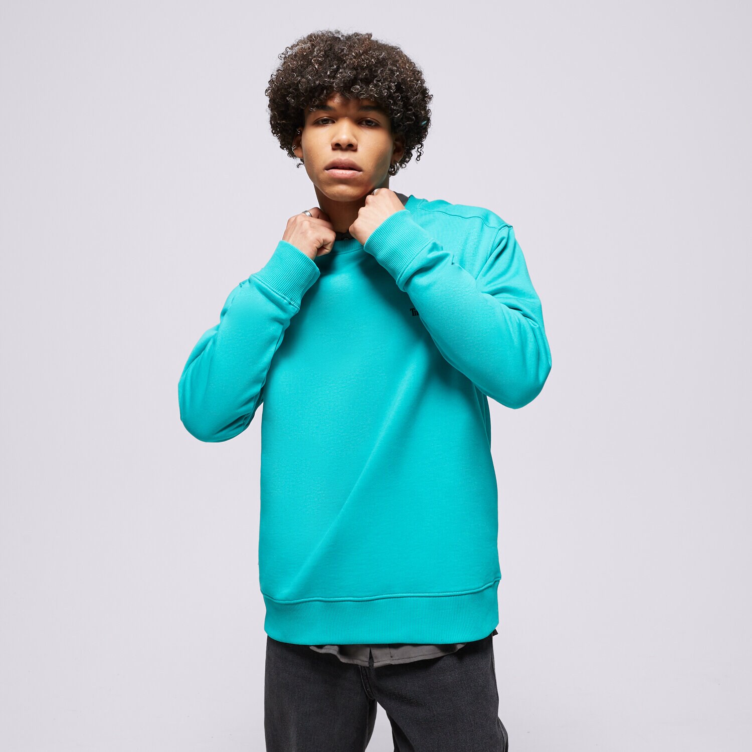 pánská mikina TIMBERLAND MIKINA SMALL LOGO PRINT TB0A5PDVE341 MODRÁ