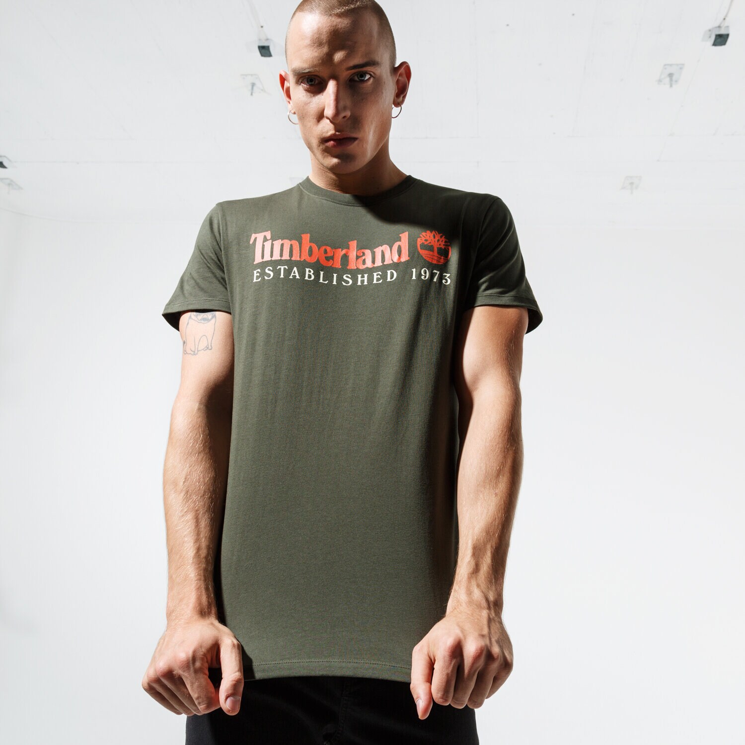 pánské tričko TIMBERLAND TRIČKO SS SS ESTABLISHED 1973 TEE TB0A1YVGU311 ZELENÁ