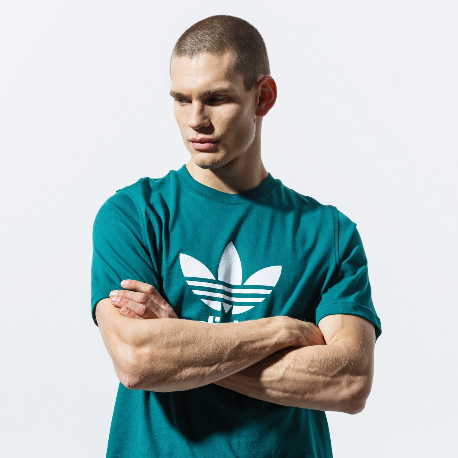 pánské tričko ADIDAS TRIČKO SS TREFOIL TRIČKO EJ9677 ZELENÁ