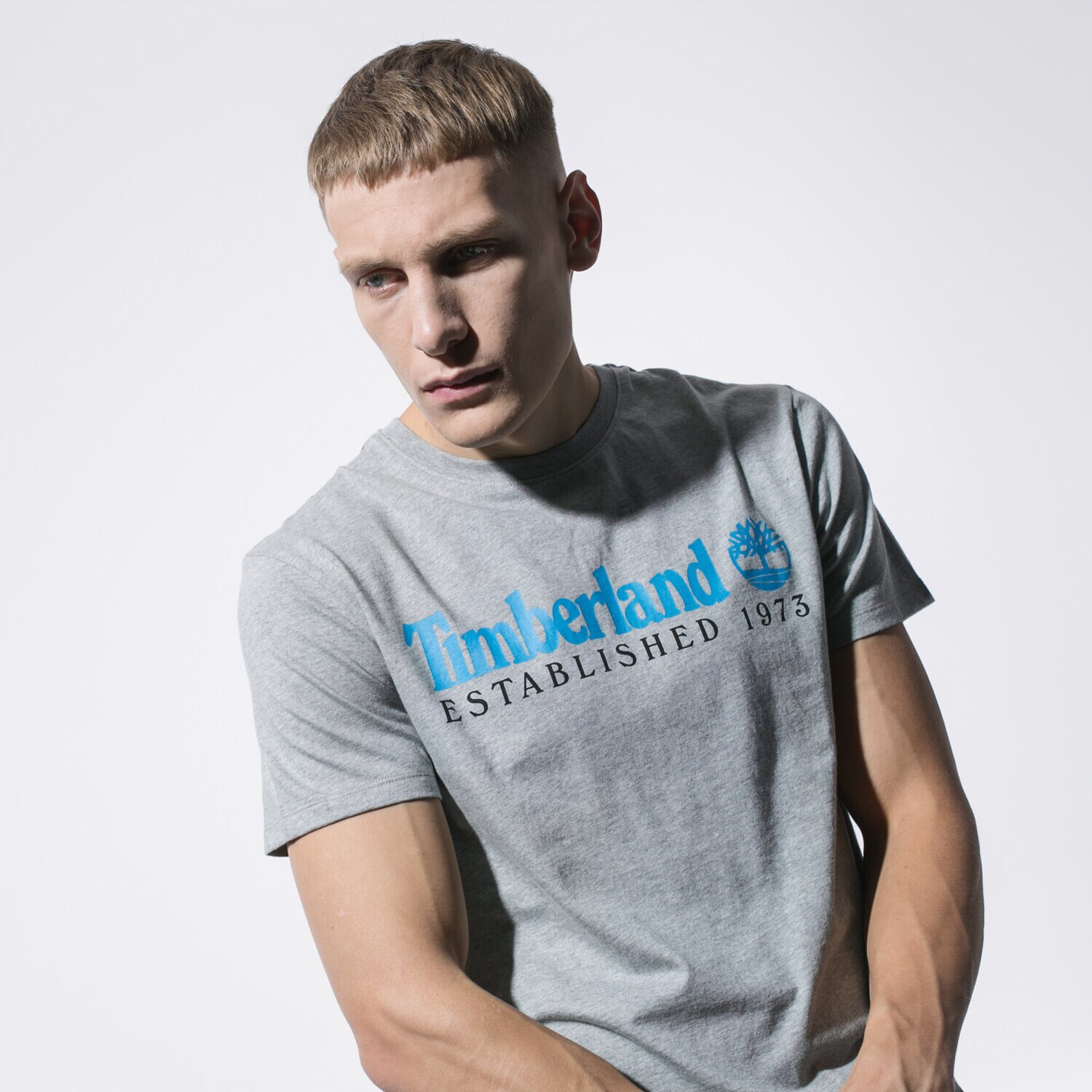 pánské tričko TIMBERLAND TRIČKO SS SS ESTABLISHED 1973 TEE TB0A1YVG0521 ŠEDÁ