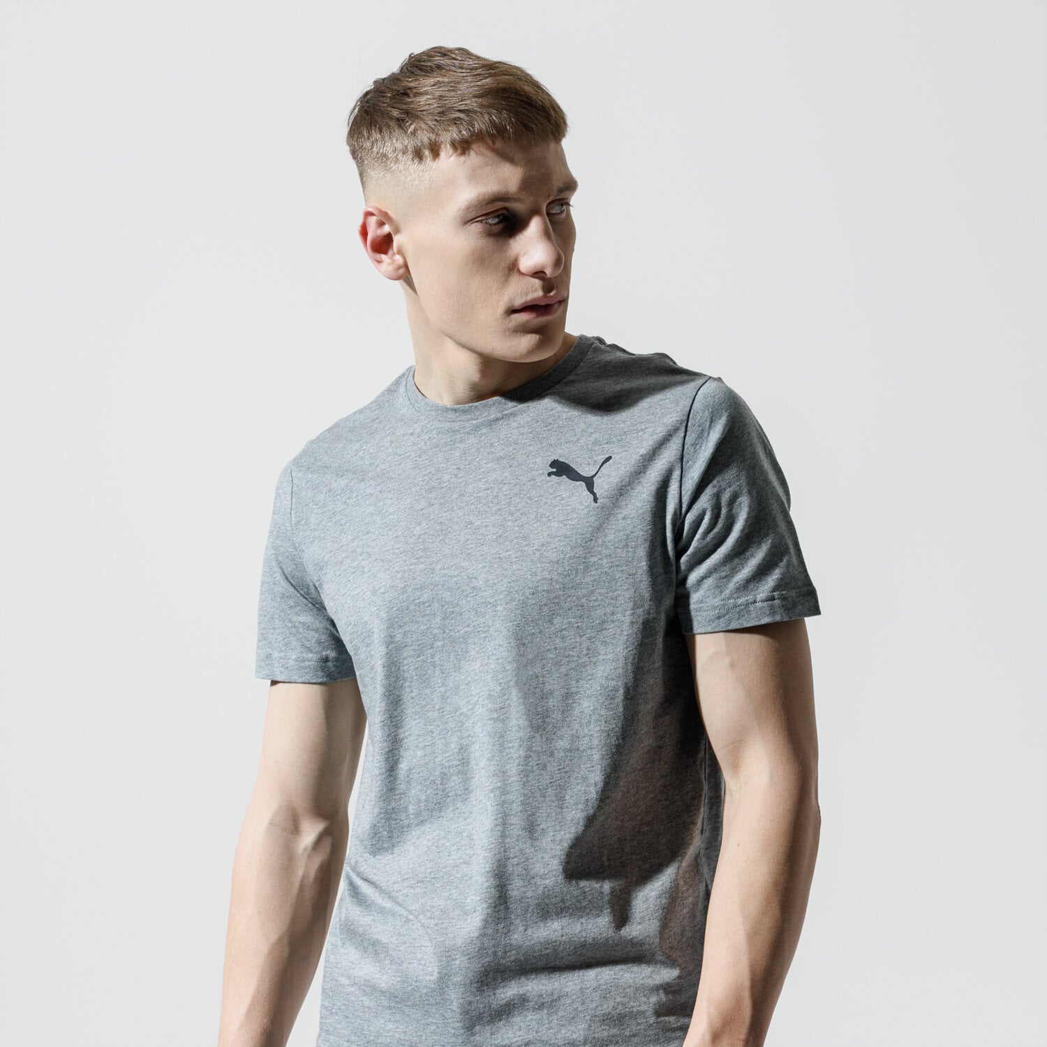pánské tričko PUMA TRIČKO ESS SMALL LOGO TEE 85174123 ŠEDÁ