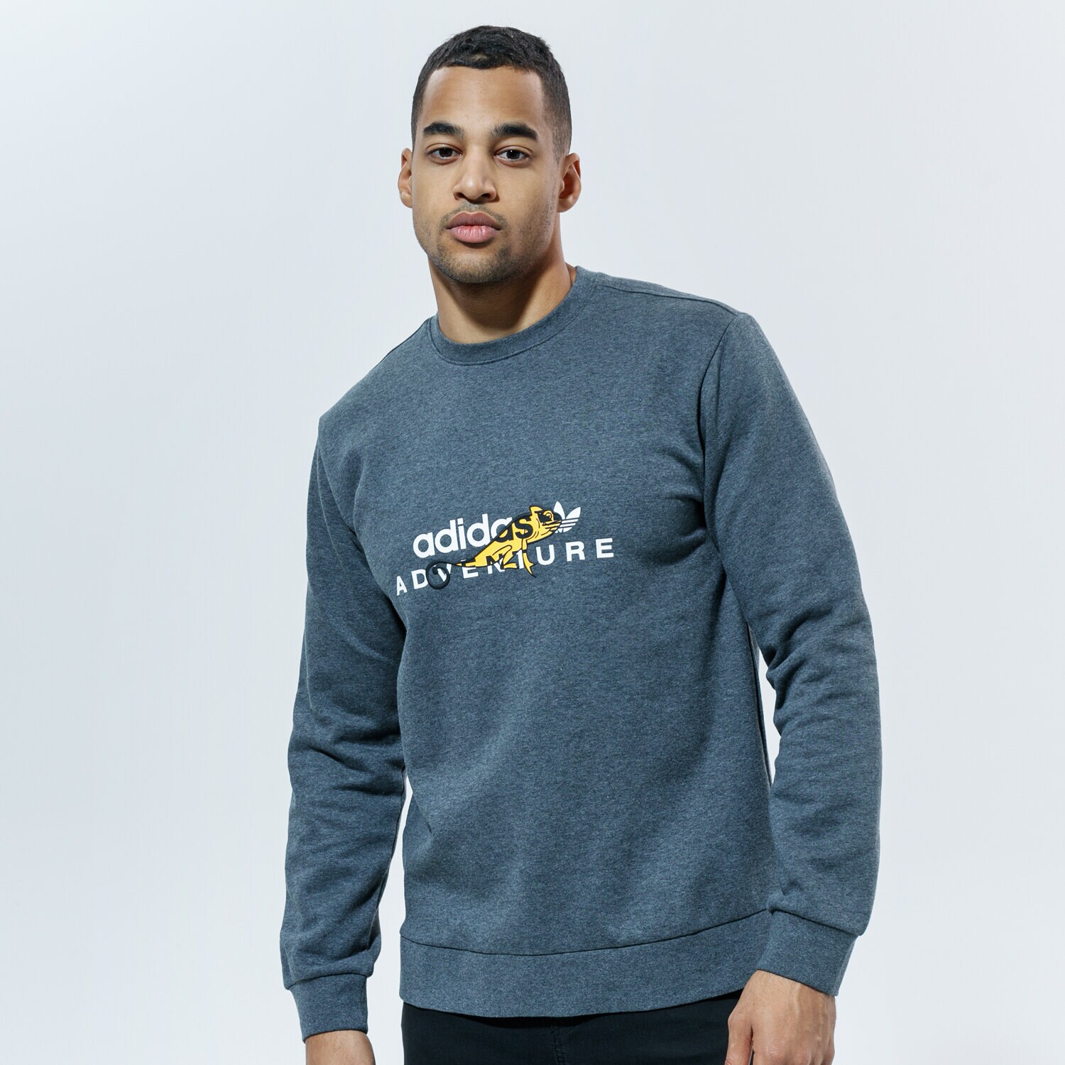 pánské tričko ADIDAS TRIČKO ADV GRAPHICCREW GD5602 ŠEDÁ