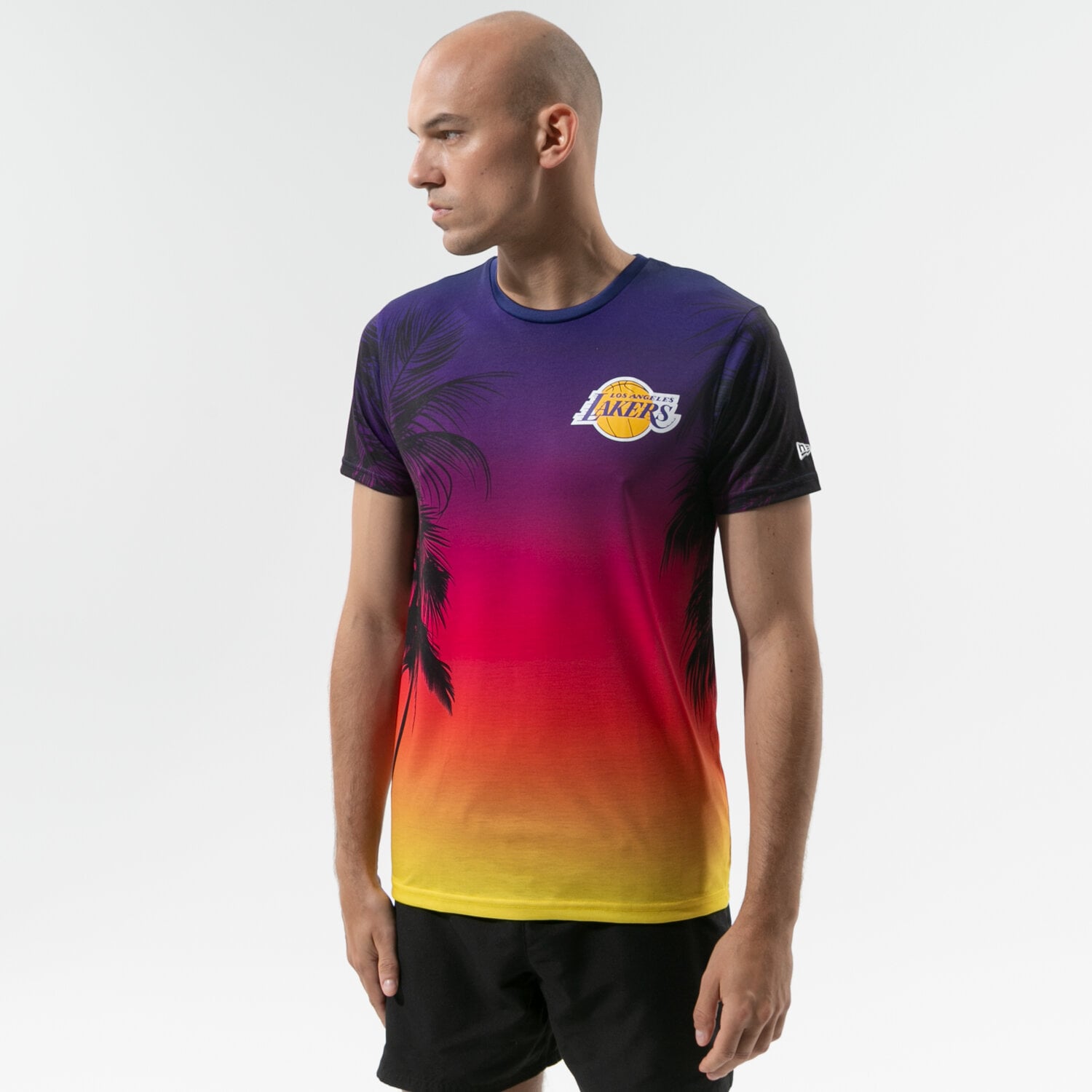 pánské tričko NEW ERA TRIČKO SS NBA COASTAL HEAT TEE LA LAKERS LOS ANGELES 11569521 VÍCEBAREVNÁ
