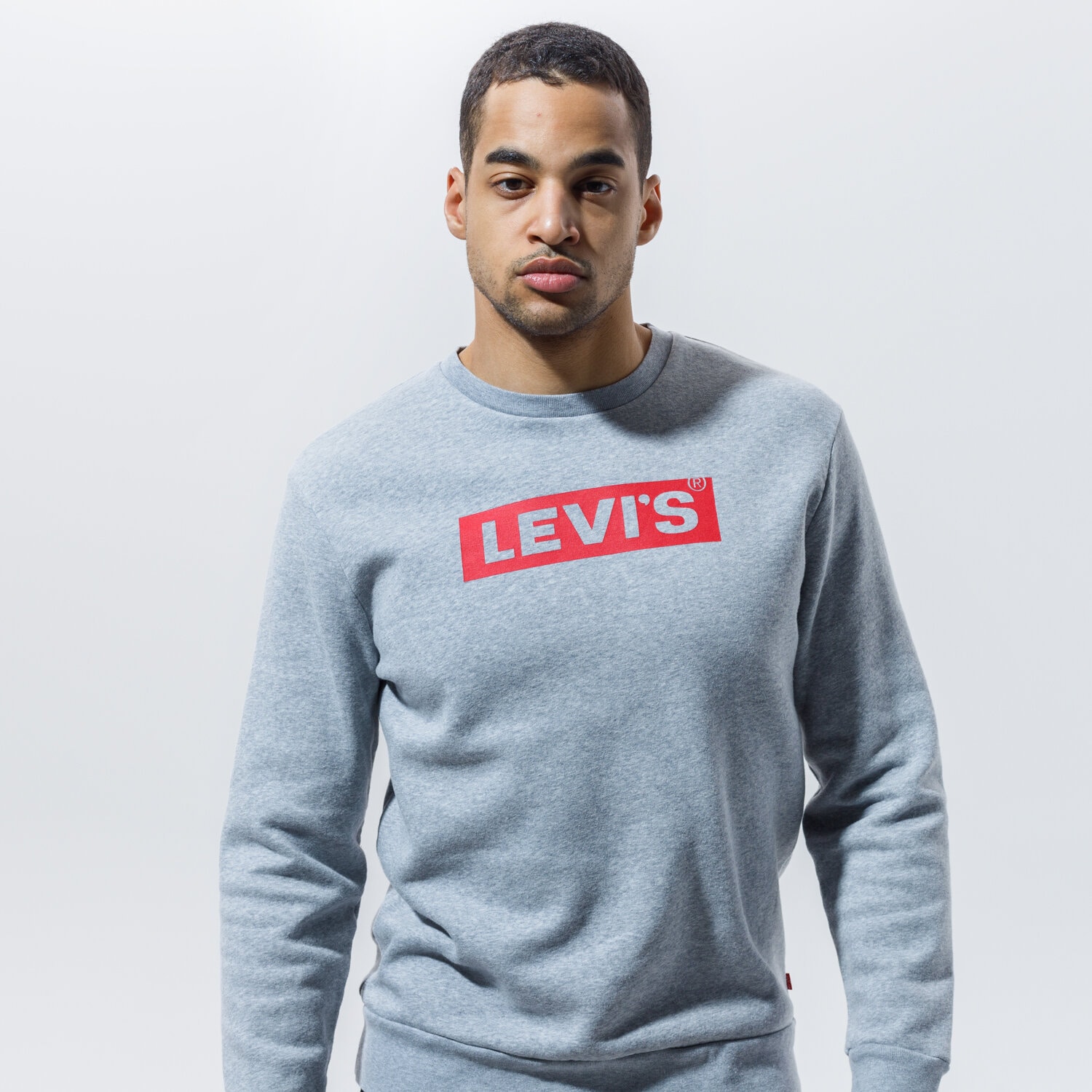 pánská mikina LEVI'S MIKINA T3 GRAPHIC CREW 38796-0028 ŠEDÁ