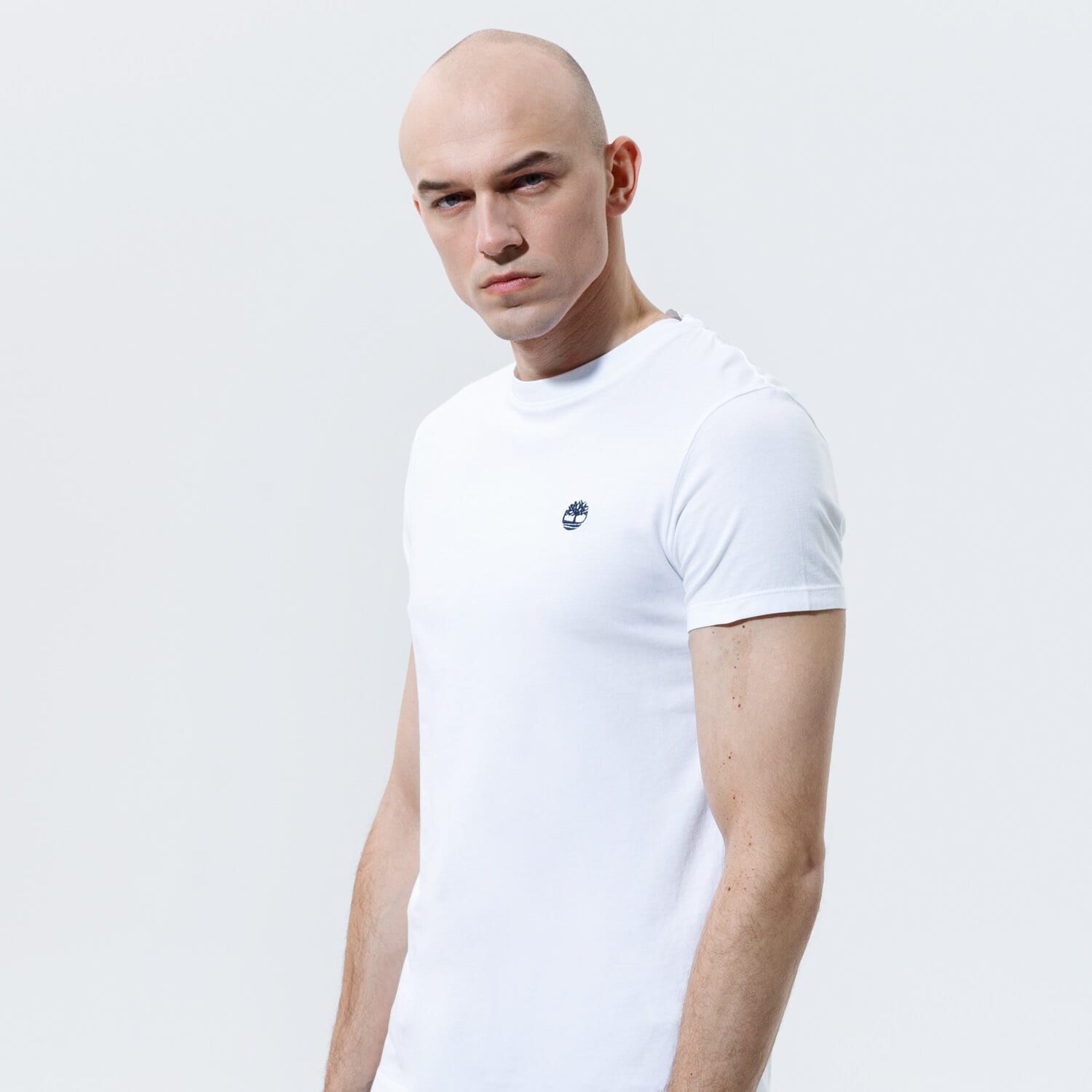 pánské tričko TIMBERLAND TRIČKO SS DUNSTAN JERSEY CREW TEE SLIM TB0A2BPR1001 BÍLÁ