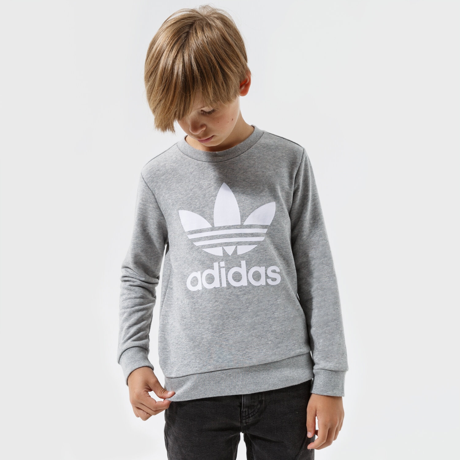 dětská mikina ADIDAS MIKINA TREFOIL CREW BOY GD2709 ŠEDÁ