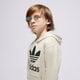 dětská mikina ADIDAS MIKINA S KAPUCÍ TREFOIL HOODIE BOY ij7204 barva béžová