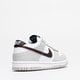 dětské tenisky NIKE DUNK LOW SE (GS) dq0380-001 barva vícebarevná