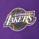 pánské tričko NEW ERA TRIČKO INFILL TEAM LOGO OS LAKERS LOS ANGELES LAKERS 60332134 barva fialová