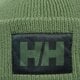 dětská čepice HELLY HANSEN ČEPICE HH BOX BEANIE 53648406 barva zelená