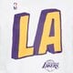 pánské tričko NIKE TRIČKO LOS ANGELES LAKERS dr6723-100 barva bílá