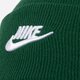 dětská čepice NIKE ČEPICE ZIMNÍ U NSW BEANIE UTILITY FUTURA dj6224-341 barva zelená