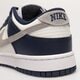 pánské tenisky NIKE DUNK LOW RETRO fd9749-400 barva šedá