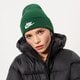 dětská čepice NIKE ČEPICE ZIMNÍ U NSW BEANIE UTILITY FUTURA dj6224-341 barva zelená