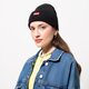 dětská čepice LEVI'S ČEPICE RED BATWING EMBROIDERED BEANIE 38022-0182 barva černá